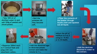 Take 500 ml of
distilled water in and
add 200g of peeled and
sliced potato.
Boil the
potatoes till
they become
soft.
Filter the contents of
the beaker through
muslin cloth and squeeze
out all liquid.
Add the dextrose
dissolved in water to
this extract.
Adjust the pH of
medium to 6-6.5
using 0.1 N HCl
or 0.1N NaOH.
Add the dissolved agar
to dextrose-potato
extract and make the
volume to 1 L.
Dispense 200ml each
to 5 conical flask and
plug with non-
absorbent cotton.
 