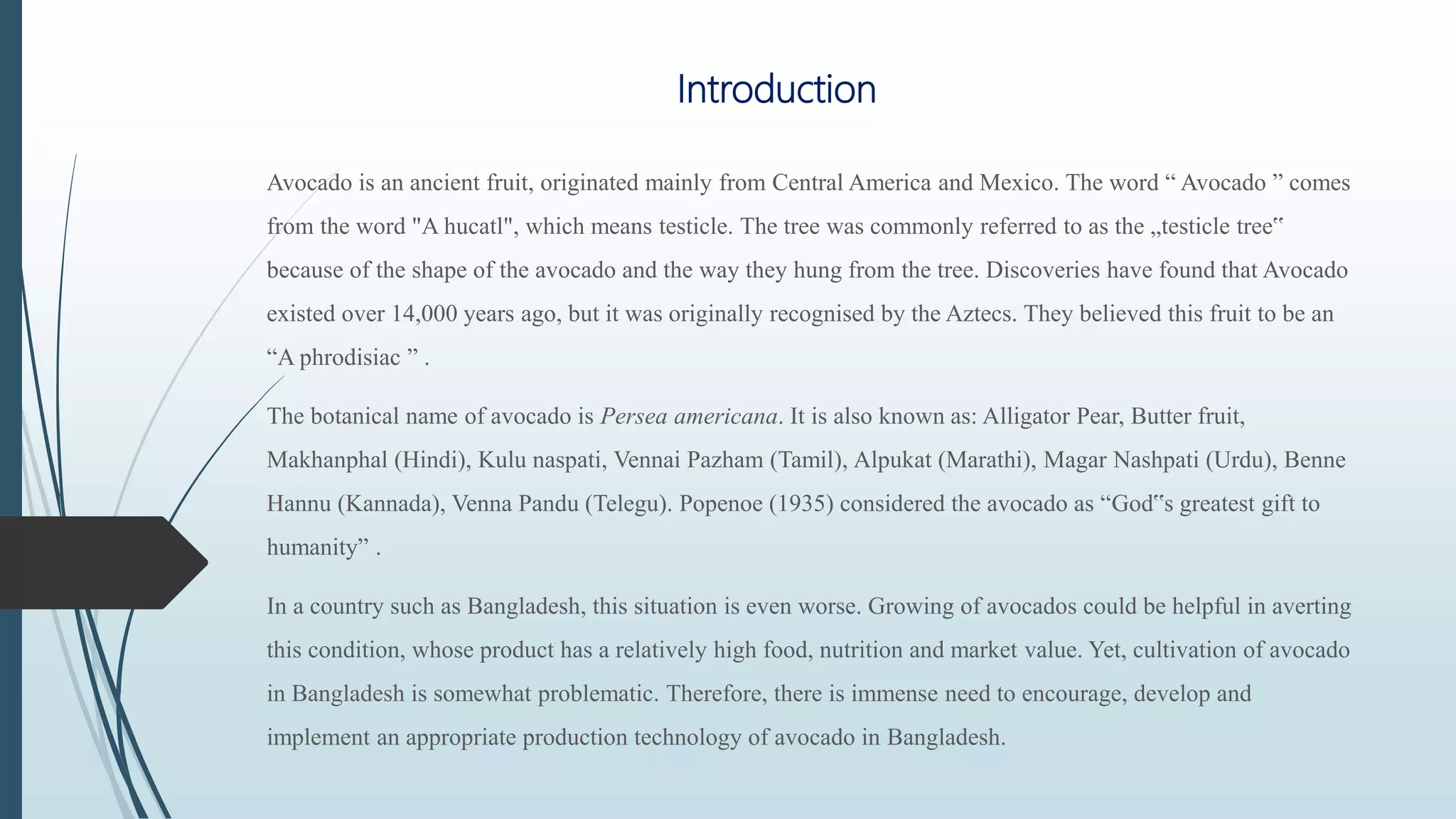 Production technology of avocado in bangladesh | PPTX
