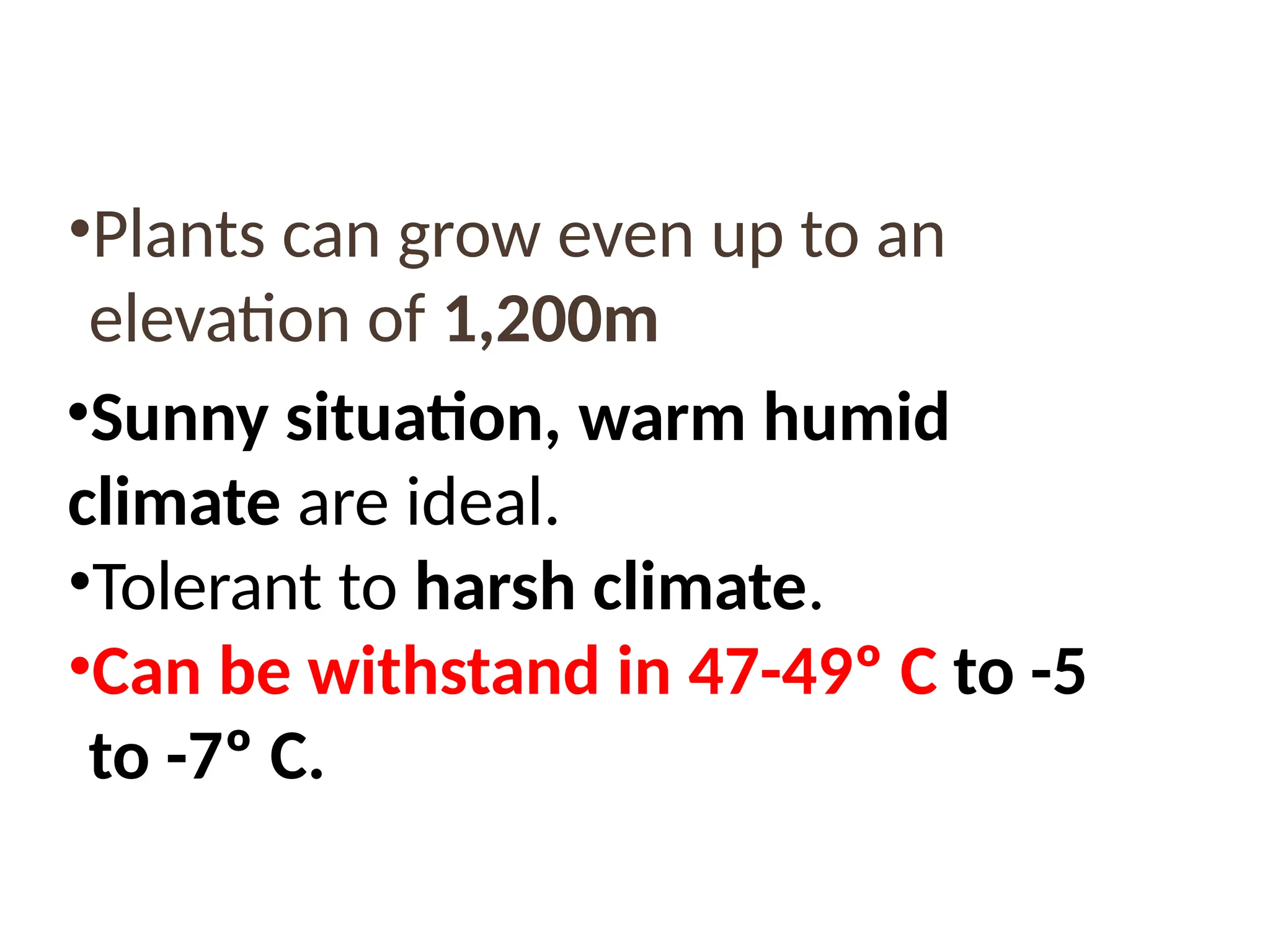 •Plants can grow even up to an
elevation of 1,200m
•Sunny situation, warm humid
climate are ideal.
•Tolerant to harsh climate.
•Can be withstand in 47-49º C to -5
to -7º C.
 