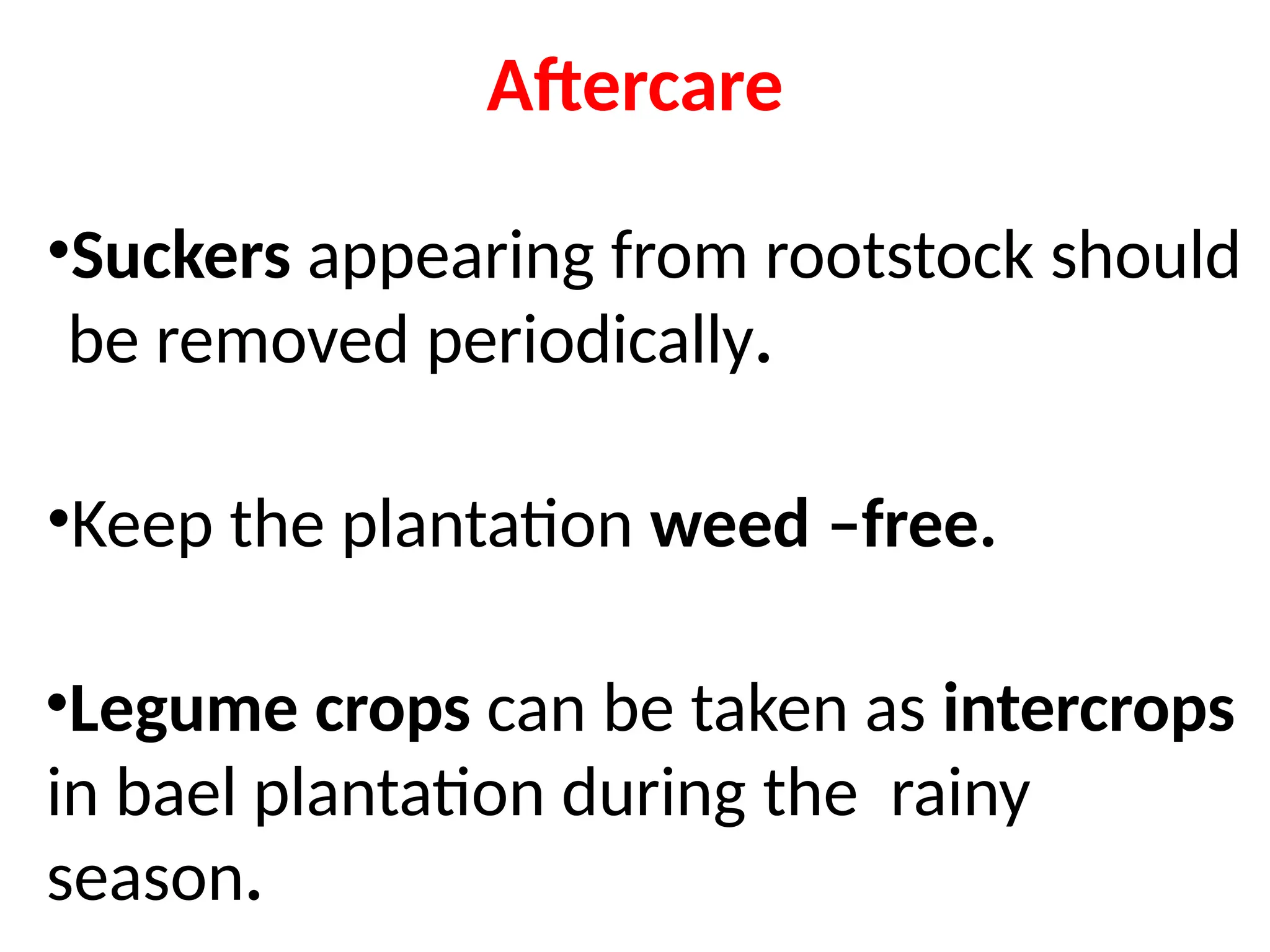 Aftercare
•Suckers appearing from rootstock should
be removed periodically.
•Keep the plantation weed –free.
•Legume crops can be taken as intercrops
in bael plantation during the rainy
season.
 