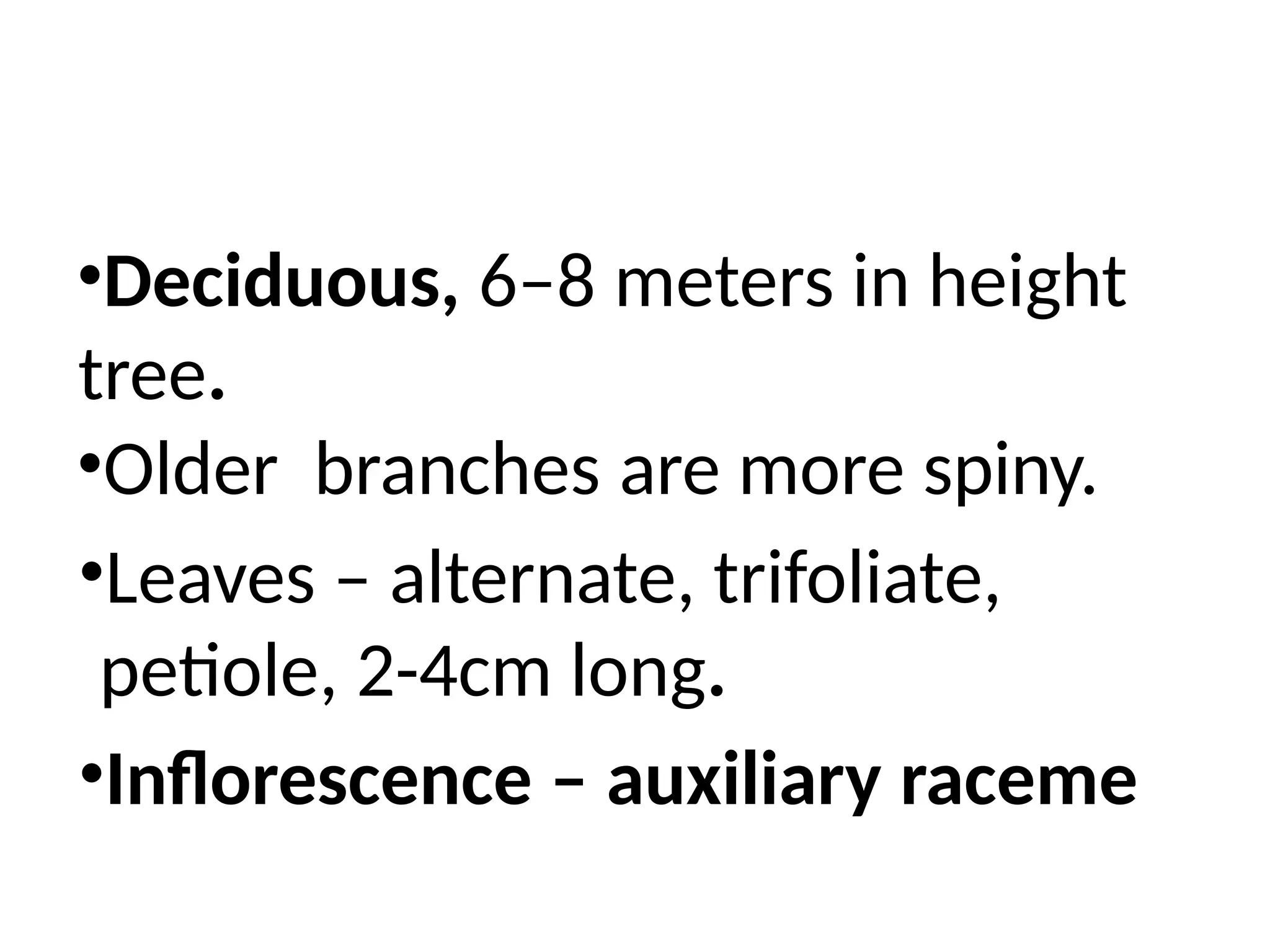 •Deciduous, 6–8 meters in height
tree.
•Older branches are more spiny.
•Leaves – alternate, trifoliate,
petiole, 2-4cm long.
•Inflorescence – auxiliary raceme
 