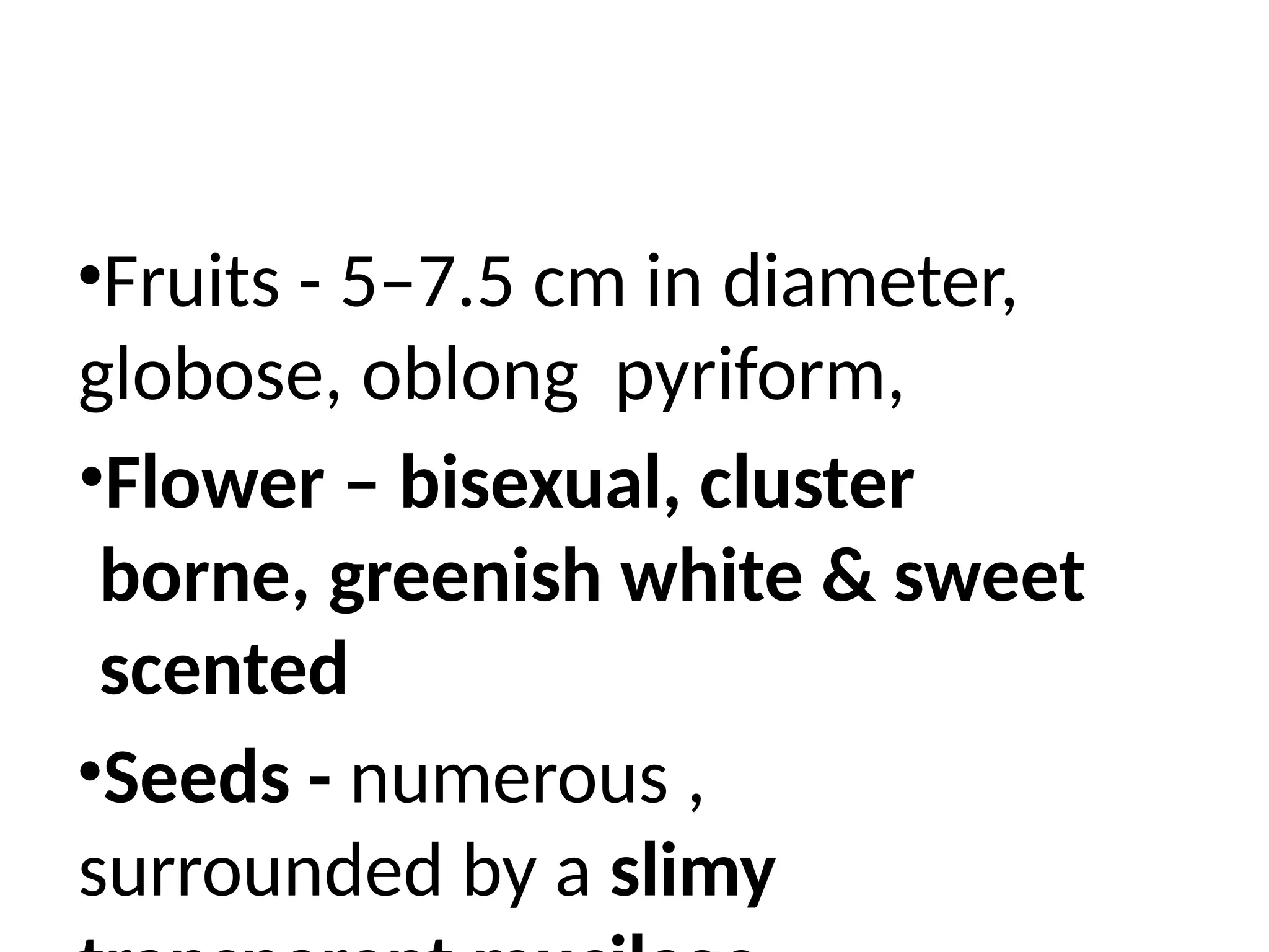 •Fruits - 5–7.5 cm in diameter,
globose, oblong pyriform,
•Flower – bisexual, cluster
borne, greenish white & sweet
scented
•Seeds - numerous ,
surrounded by a slimy
 