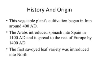 Production technology of Beetroot (2).ppt