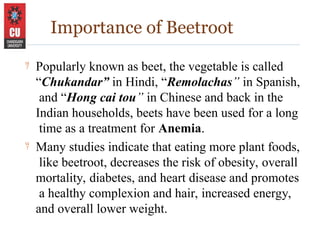 Beetroot Study Production technology of Beetroot (2).ppt