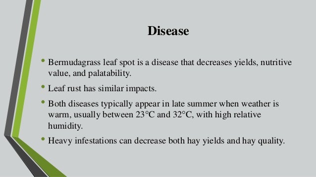 Production Technology Of Bermuda Grass