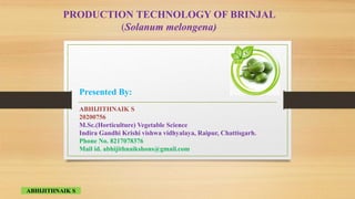 Presented By:
ABHIJITHNAIK S
20200756
M.Sc.(Horticulture) Vegetable Science
Indira Gandhi Krishi vishwa vidhyalaya, Raipur, Chattisgarh.
Phone No. 8217078376
Mail id. abhijithnaikshons@gmail.com
PRODUCTION TECHNOLOGY OF BRINJAL
(Solanum melongena)
ABHIJITHNAIK S
 