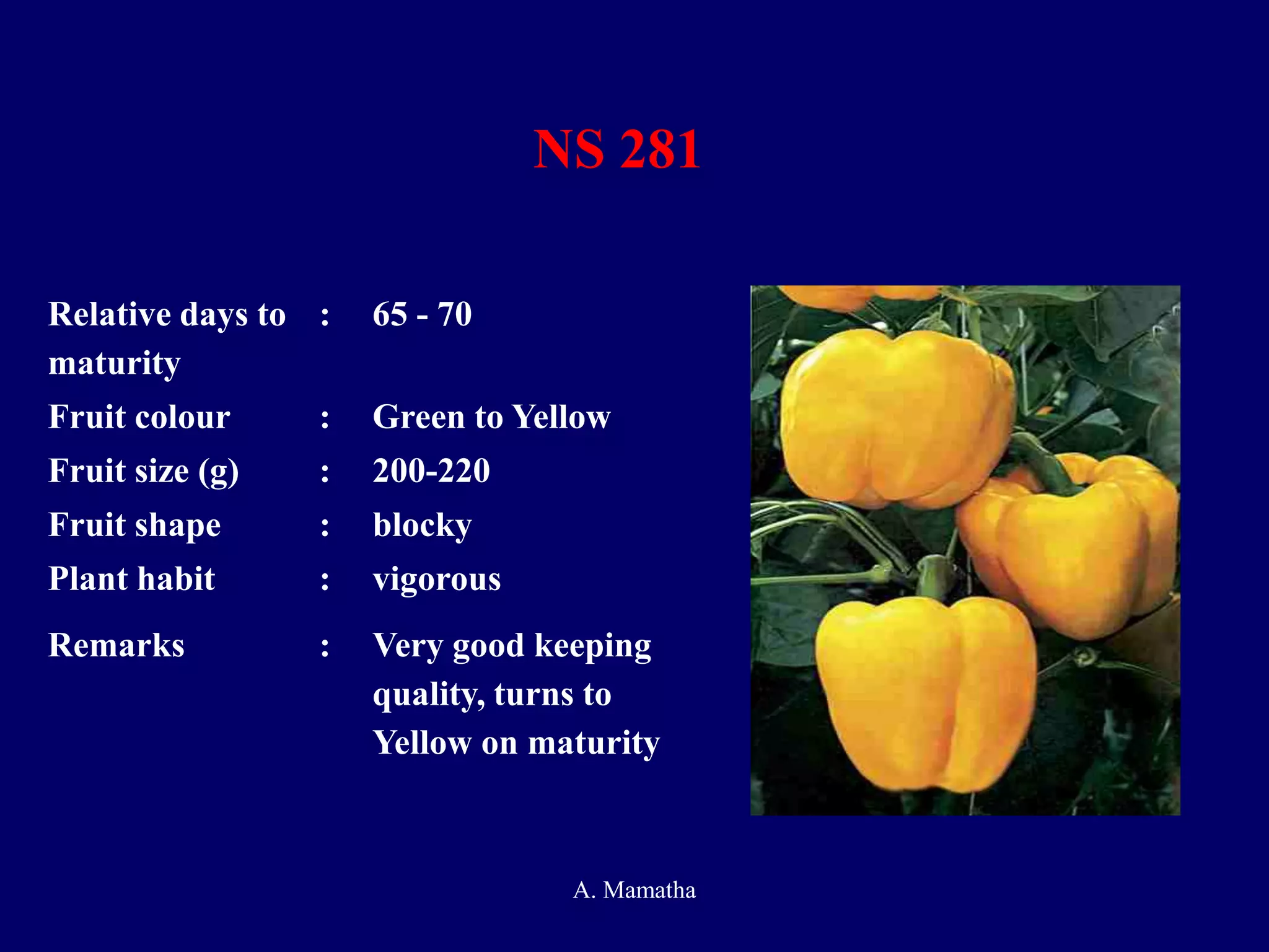 NS 281
Relative days to
maturity
: 65 - 70
Fruit colour : Green to Yellow
Fruit size (g) : 200-220
Fruit shape : blocky
Plant habit : vigorous
Remarks : Very good keeping
quality, turns to
Yellow on maturity
A. Mamatha
 