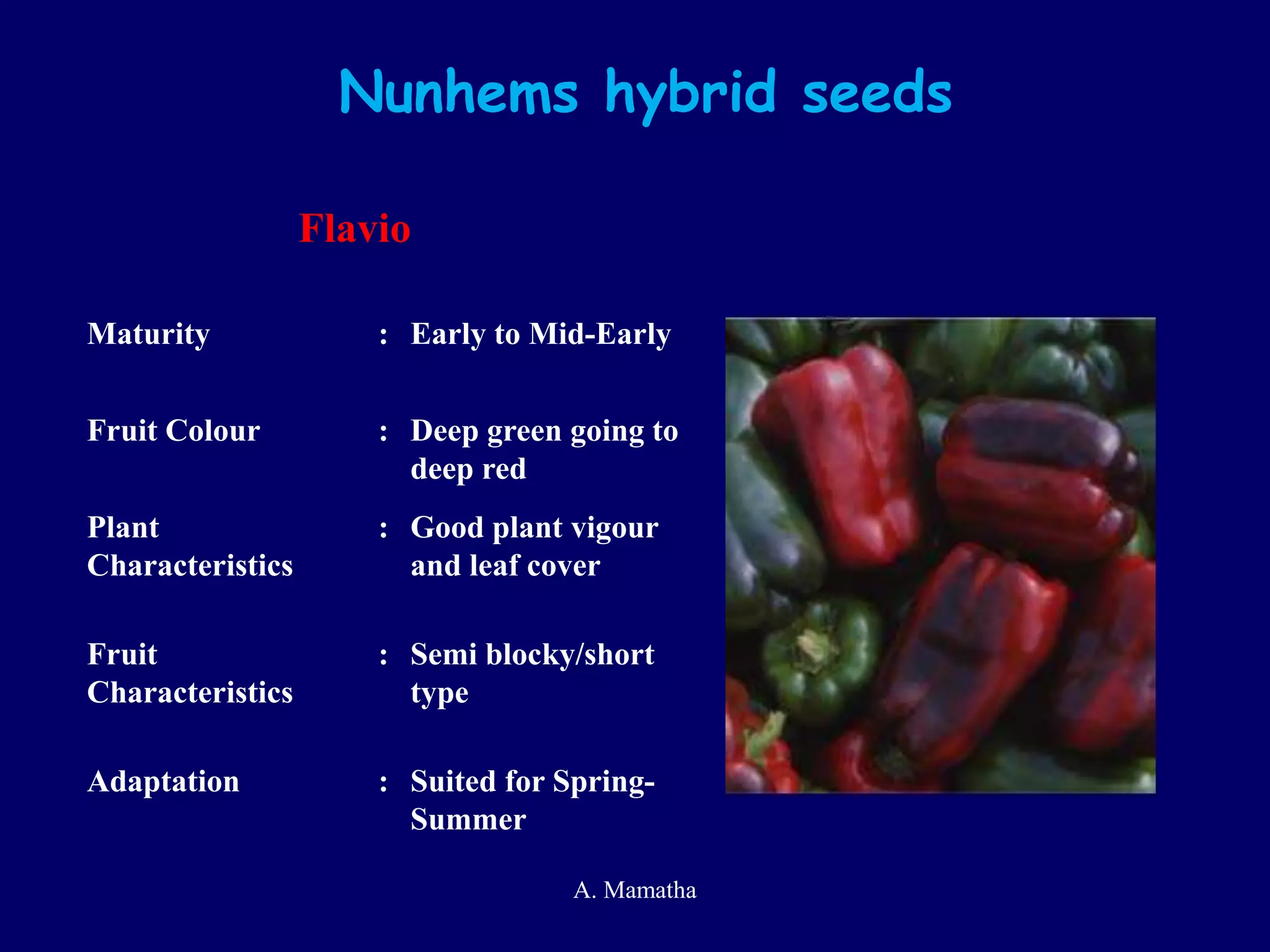 Nunhems hybrid seeds
Flavio
Maturity : Early to Mid-Early
Fruit Colour : Deep green going to
deep red
Plant
Characteristics
: Good plant vigour
and leaf cover
Fruit
Characteristics
: Semi blocky/short
type
Adaptation : Suited for Spring-
Summer
A. Mamatha
 