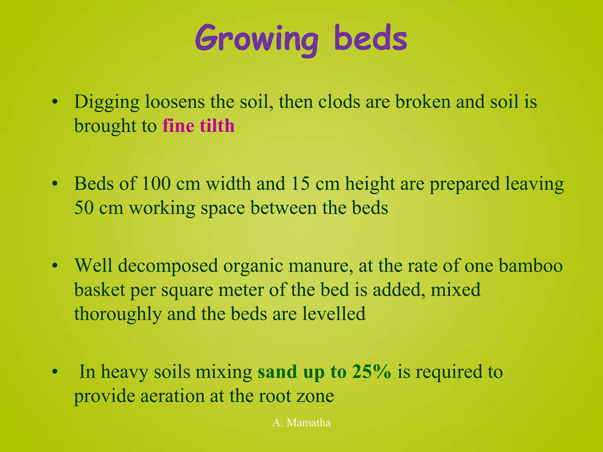 Growing beds
• Digging loosens the soil, then clods are broken and soil is
brought to fine tilth
• Beds of 100 cm width and 15 cm height are prepared leaving
50 cm working space between the beds
• Well decomposed organic manure, at the rate of one bamboo
basket per square meter of the bed is added, mixed
thoroughly and the beds are levelled
• In heavy soils mixing sand up to 25% is required to
provide aeration at the root zone
A. Mamatha
 