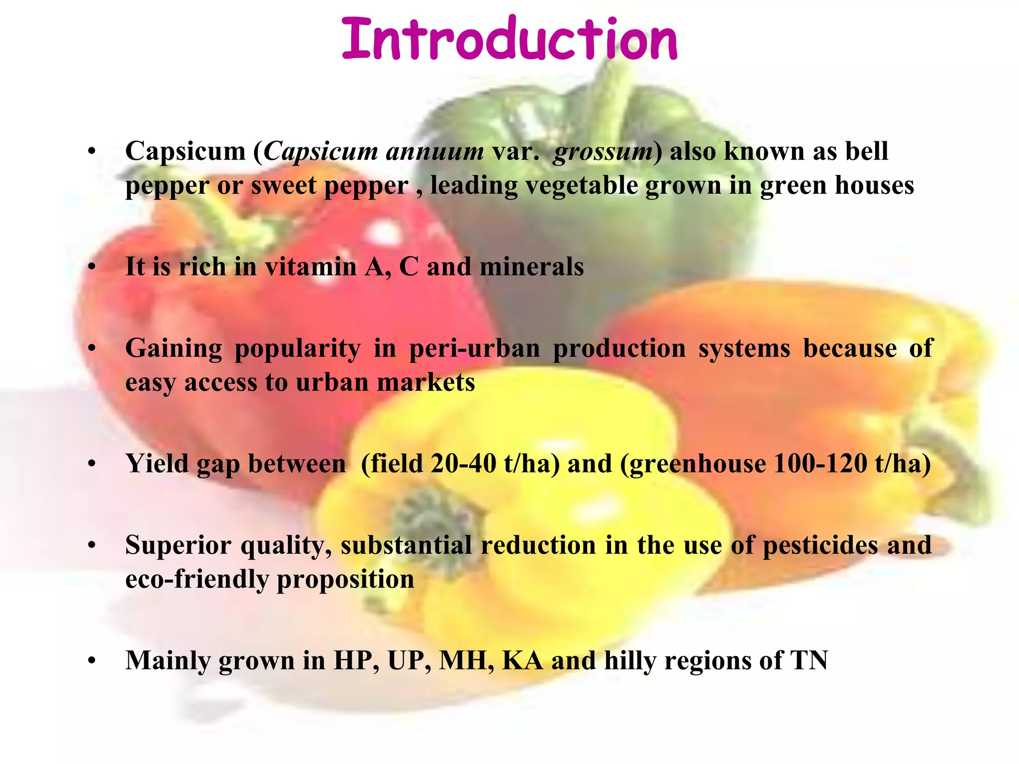 Introduction
• Capsicum (Capsicum annuum var. grossum) also known as bell
pepper or sweet pepper , leading vegetable grown in green houses
• It is rich in vitamin A, C and minerals
• Gaining popularity in peri-urban production systems because of
easy access to urban markets
• Yield gap between (field 20-40 t/ha) and (greenhouse 100-120 t/ha)
• Superior quality, substantial reduction in the use of pesticides and
eco-friendly proposition
• Mainly grown in HP, UP, MH, KA and hilly regions of TN
A. Mamatha
 