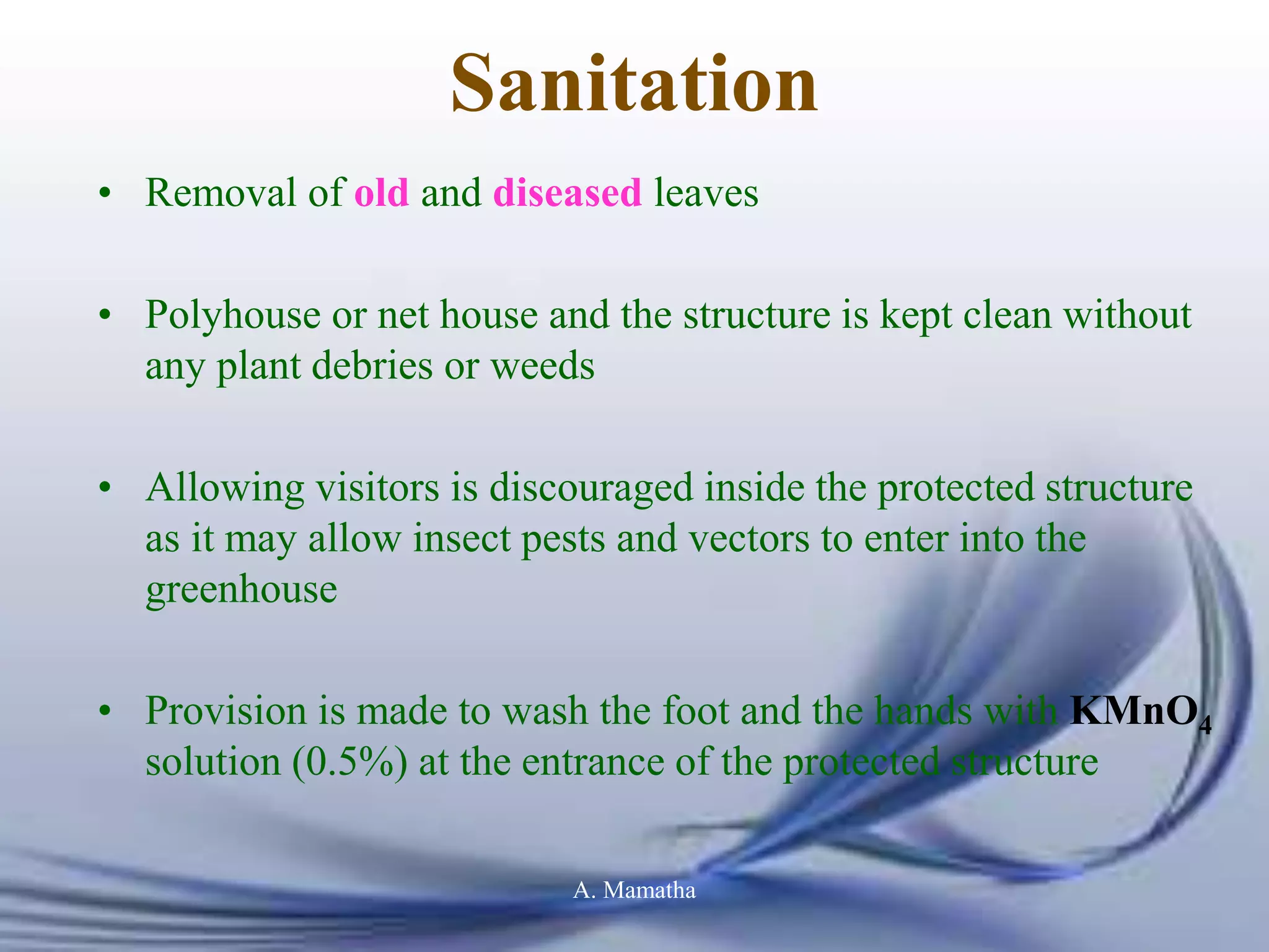 Sanitation
• Removal of old and diseased leaves
• Polyhouse or net house and the structure is kept clean without
any plant debries or weeds
• Allowing visitors is discouraged inside the protected structure
as it may allow insect pests and vectors to enter into the
greenhouse
• Provision is made to wash the foot and the hands with KMnO4
solution (0.5%) at the entrance of the protected structure
A. Mamatha
 