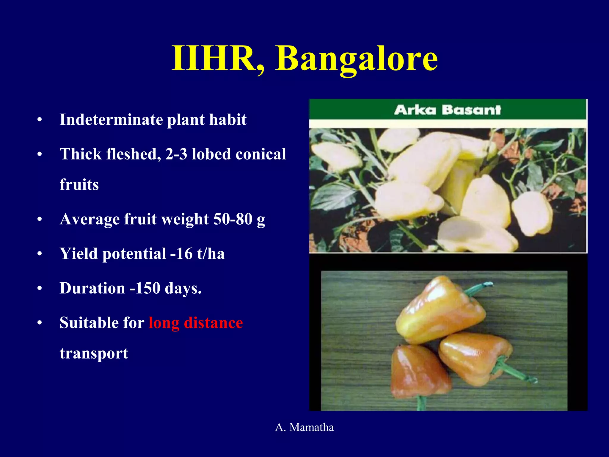 IIHR, Bangalore
• Indeterminate plant habit
• Thick fleshed, 2-3 lobed conical
fruits
• Average fruit weight 50-80 g
• Yield potential -16 t/ha
• Duration -150 days.
• Suitable for long distance
transport
A. Mamatha
 