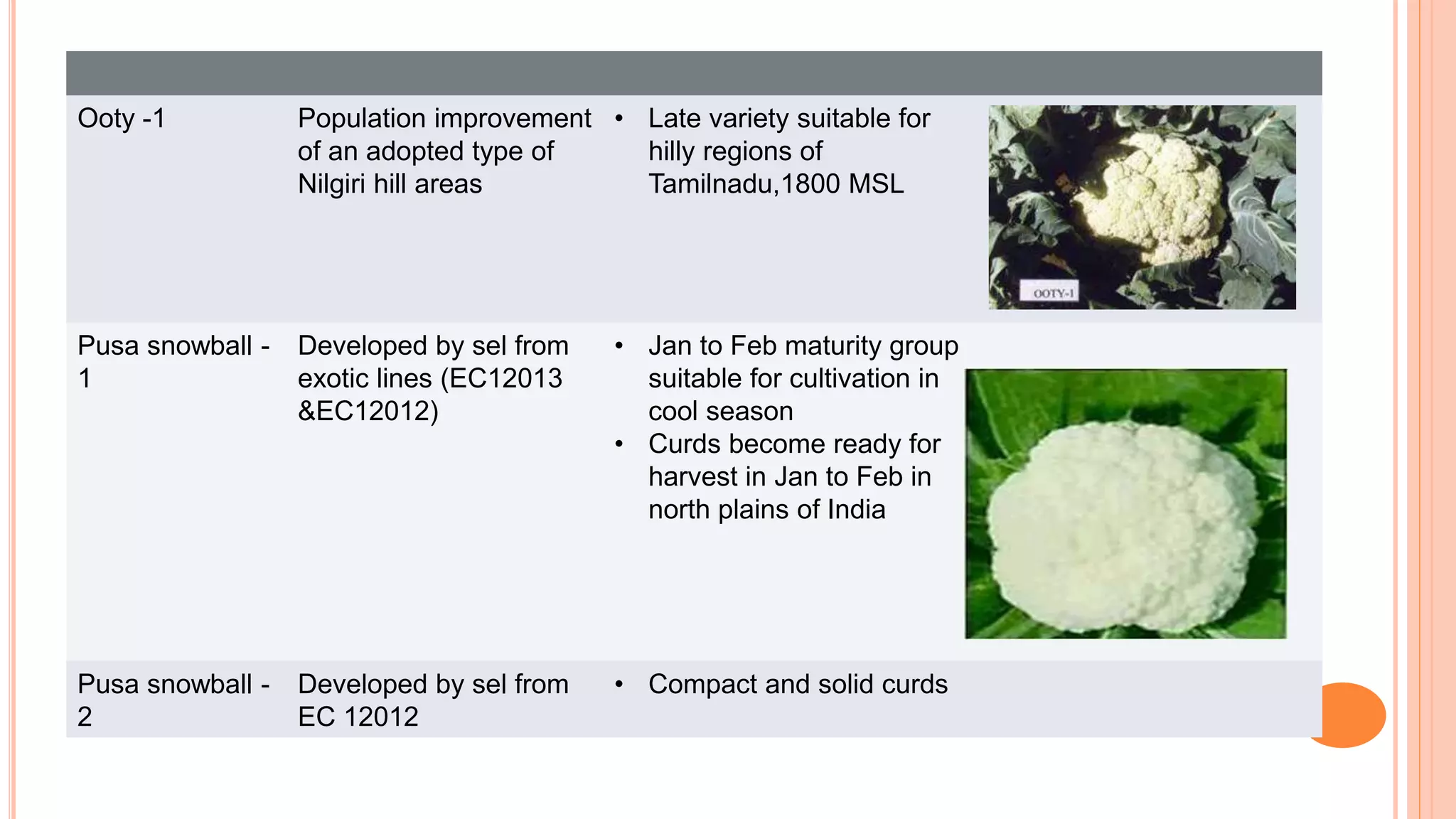 Ooty -1 Population improvement
of an adopted type of
Nilgiri hill areas
• Late variety suitable for
hilly regions of
Tamilnadu,1800 MSL
Pusa snowball -
1
Developed by sel from
exotic lines (EC12013
&EC12012)
• Jan to Feb maturity group
suitable for cultivation in
cool season
• Curds become ready for
harvest in Jan to Feb in
north plains of India
Pusa snowball -
2
Developed by sel from
EC 12012
• Compact and solid curds
 
