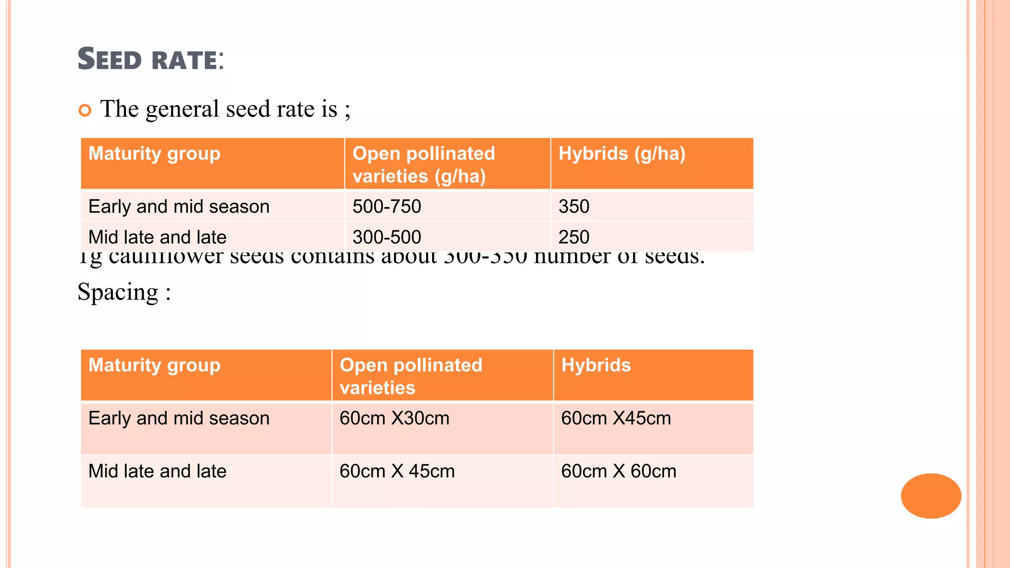 SEED RATE:
 The general seed rate is ;
1g cauliflower seeds contains about 300-350 number of seeds.
Spacing :
Maturity group Open pollinated
varieties (g/ha)
Hybrids (g/ha)
Early and mid season 500-750 350
Mid late and late 300-500 250
Maturity group Open pollinated
varieties
Hybrids
Early and mid season 60cm X30cm 60cm X45cm
Mid late and late 60cm X 45cm 60cm X 60cm
 