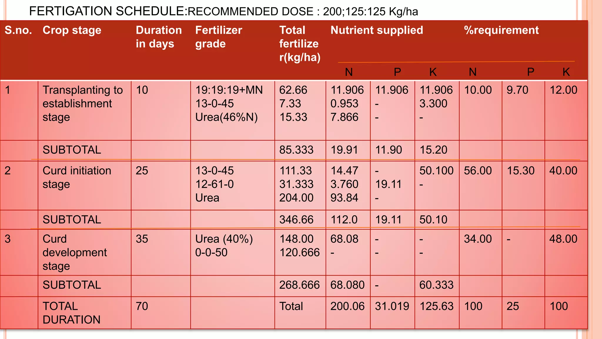 S.no. Crop stage Duration
in days
Fertilizer
grade
Total
fertilize
r(kg/ha)
Nutrient supplied %requirement
1 Transplanting to
establishment
stage
10 19:19:19+MN
13-0-45
Urea(46%N)
62.66
7.33
15.33
11.906
0.953
7.866
11.906
-
-
11.906
3.300
-
10.00 9.70 12.00
SUBTOTAL 85.333 19.91 11.90 15.20
2 Curd initiation
stage
25 13-0-45
12-61-0
Urea
111.33
31.333
204.00
14.47
3.760
93.84
-
19.11
-
50.100
-
56.00 15.30 40.00
SUBTOTAL 346.66 112.0 19.11 50.10
3 Curd
development
stage
35 Urea (40%)
0-0-50
148.00
120.666
68.08
-
-
-
-
-
34.00 - 48.00
SUBTOTAL 268.666 68.080 - 60.333
TOTAL
DURATION
70 Total 200.06 31.019 125.63 100 25 100
N P K N P K
FERTIGATION SCHEDULE:RECOMMENDED DOSE : 200;125:125 Kg/ha
 