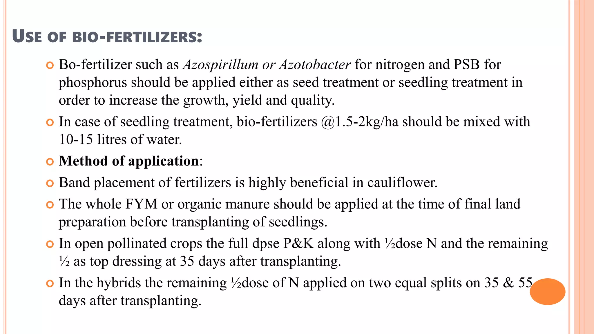 USE OF BIO-FERTILIZERS:
 Bo-fertilizer such as Azospirillum or Azotobacter for nitrogen and PSB for
phosphorus should be applied either as seed treatment or seedling treatment in
order to increase the growth, yield and quality.
 In case of seedling treatment, bio-fertilizers @1.5-2kg/ha should be mixed with
10-15 litres of water.
 Method of application:
 Band placement of fertilizers is highly beneficial in cauliflower.
 The whole FYM or organic manure should be applied at the time of final land
preparation before transplanting of seedlings.
 In open pollinated crops the full dpse P&K along with ½dose N and the remaining
½ as top dressing at 35 days after transplanting.
 In the hybrids the remaining ½dose of N applied on two equal splits on 35 & 55
days after transplanting.
 
