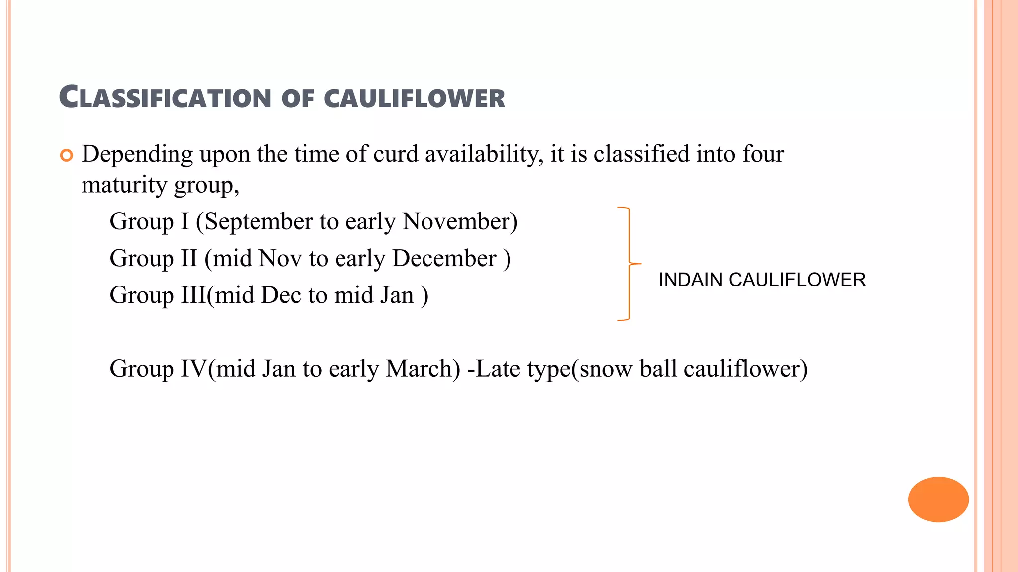 CLASSIFICATION OF CAULIFLOWER
 Depending upon the time of curd availability, it is classified into four
maturity group,
Group I (September to early November)
Group II (mid Nov to early December )
Group III(mid Dec to mid Jan )
Group IV(mid Jan to early March) -Late type(snow ball cauliflower)
INDAIN CAULIFLOWER
 