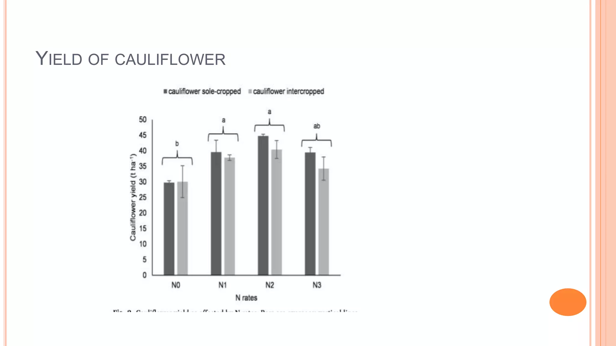YIELD OF CAULIFLOWER
 