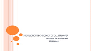 PRODUCTIONTECHNOLOGYOF CAULIFLOWER
VANISREE PADMANABHAN
2019534005
 