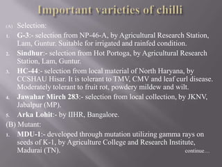 Production technology of chili and capsicum Slide 13