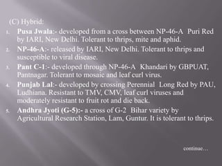 (C) Hybrid:
1.  Pusa Jwala:- developed from a cross between NP-46-A Puri Red
    by IARI, New Delhi. Tolerant to thrips, m...