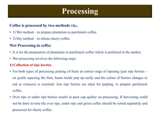 Production Technology of Coffee (Coffea arabica and C. canephora).pdf