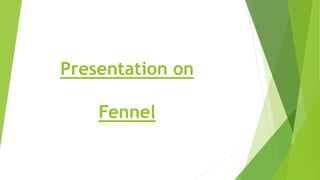 Presentation on
Fennel
 