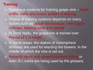 Geape Training Methods Production technology of grapes | PPTX