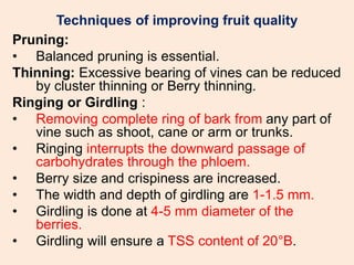 PRODUCTION TECHNOLOGY OF GRAPES.pptx (jayaprakash) | PPTX
