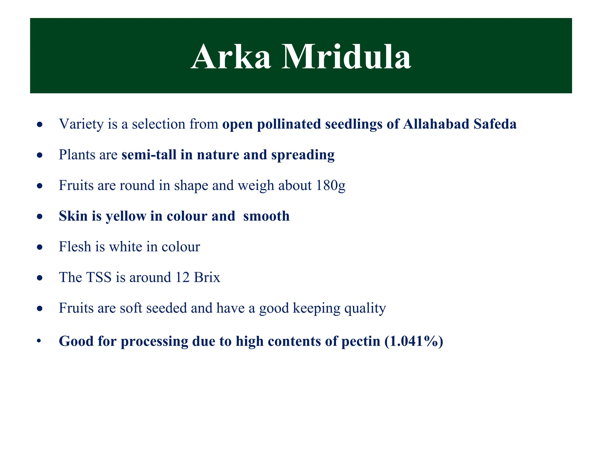 Arka Mridula
• Variety is a selection from open pollinated seedlings of Allahabad Safeda
• Plants are semi-tall in nature and spreading
• Fruits are round in shape and weigh about 180g
• Skin is yellow in colour and smooth
• Flesh is white in colour
• The TSS is around 12 Brix
• Fruits are soft seeded and have a good keeping quality
• Good for processing due to high contents of pectin (1.041%)
 