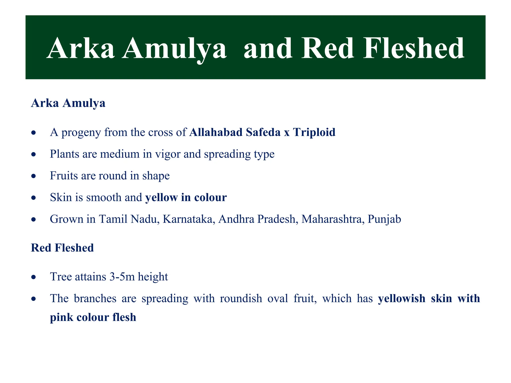 Arka Amulya and Red Fleshed
Arka Amulya
• A progeny from the cross of Allahabad Safeda x Triploid
• Plants are medium in vigor and spreading type
• Fruits are round in shape
• Skin is smooth and yellow in colour
• Grown in Tamil Nadu, Karnataka, Andhra Pradesh, Maharashtra, Punjab
Red Fleshed
• Tree attains 3-5m height
• The branches are spreading with roundish oval fruit, which has yellowish skin with
pink colour flesh
 