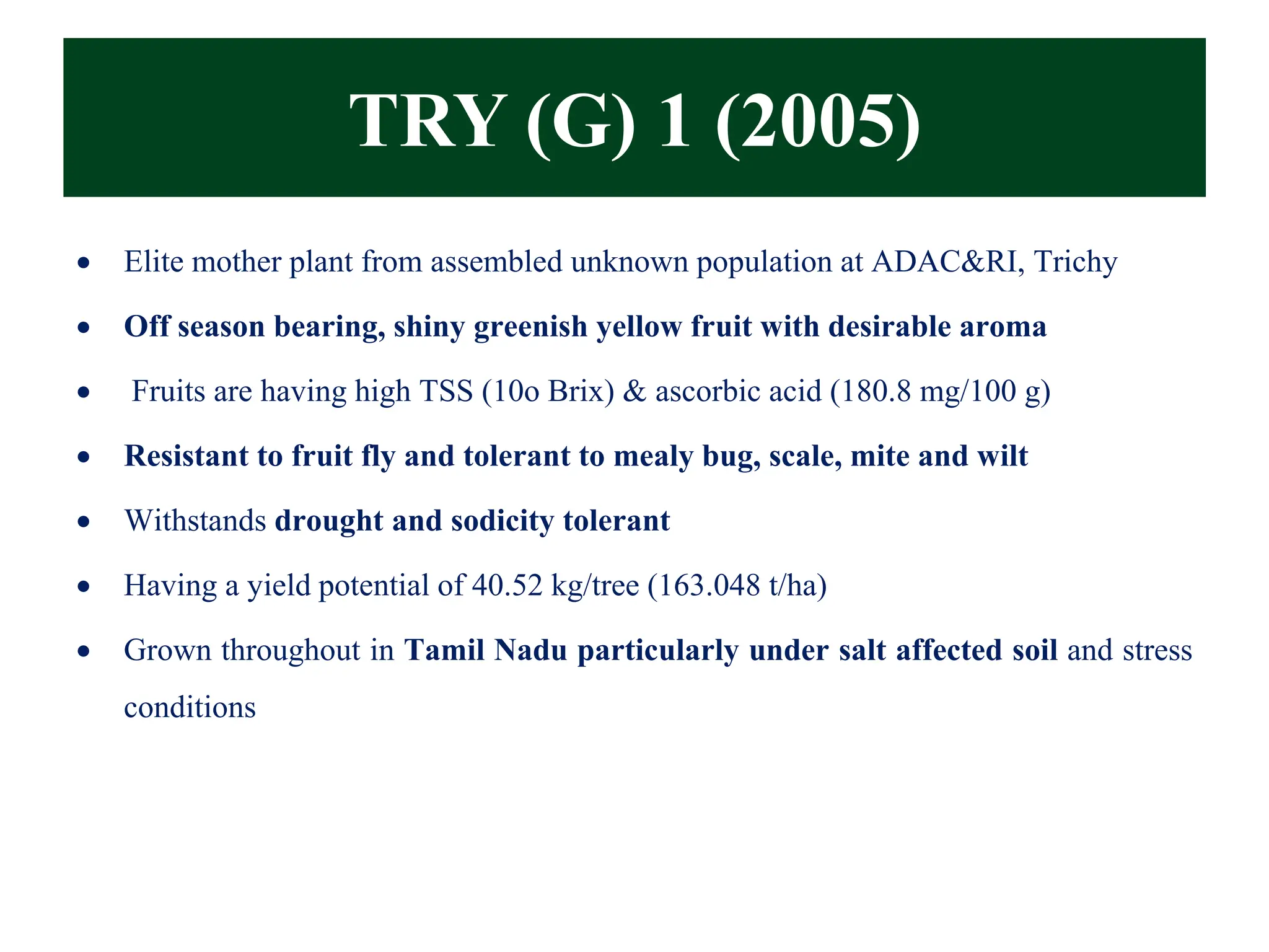 TRY (G) 1 (2005)
• Elite mother plant from assembled unknown population at ADAC&RI, Trichy
• Off season bearing, shiny greenish yellow fruit with desirable aroma
• Fruits are having high TSS (10o Brix) & ascorbic acid (180.8 mg/100 g)
• Resistant to fruit fly and tolerant to mealy bug, scale, mite and wilt
• Withstands drought and sodicity tolerant
• Having a yield potential of 40.52 kg/tree (163.048 t/ha)
• Grown throughout in Tamil Nadu particularly under salt affected soil and stress
conditions
 