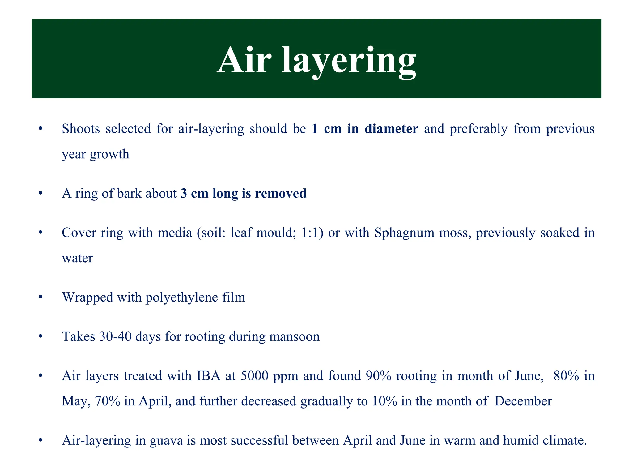 Air layering
• Shoots selected for air-layering should be 1 cm in diameter and preferably from previous
year growth
• A ring of bark about 3 cm long is removed
• Cover ring with media (soil: leaf mould; 1:1) or with Sphagnum moss, previously soaked in
water
• Wrapped with polyethylene film
• Takes 30-40 days for rooting during mansoon
• Air layers treated with IBA at 5000 ppm and found 90% rooting in month of June, 80% in
May, 70% in April, and further decreased gradually to 10% in the month of December
• Air-layering in guava is most successful between April and June in warm and humid climate.
 