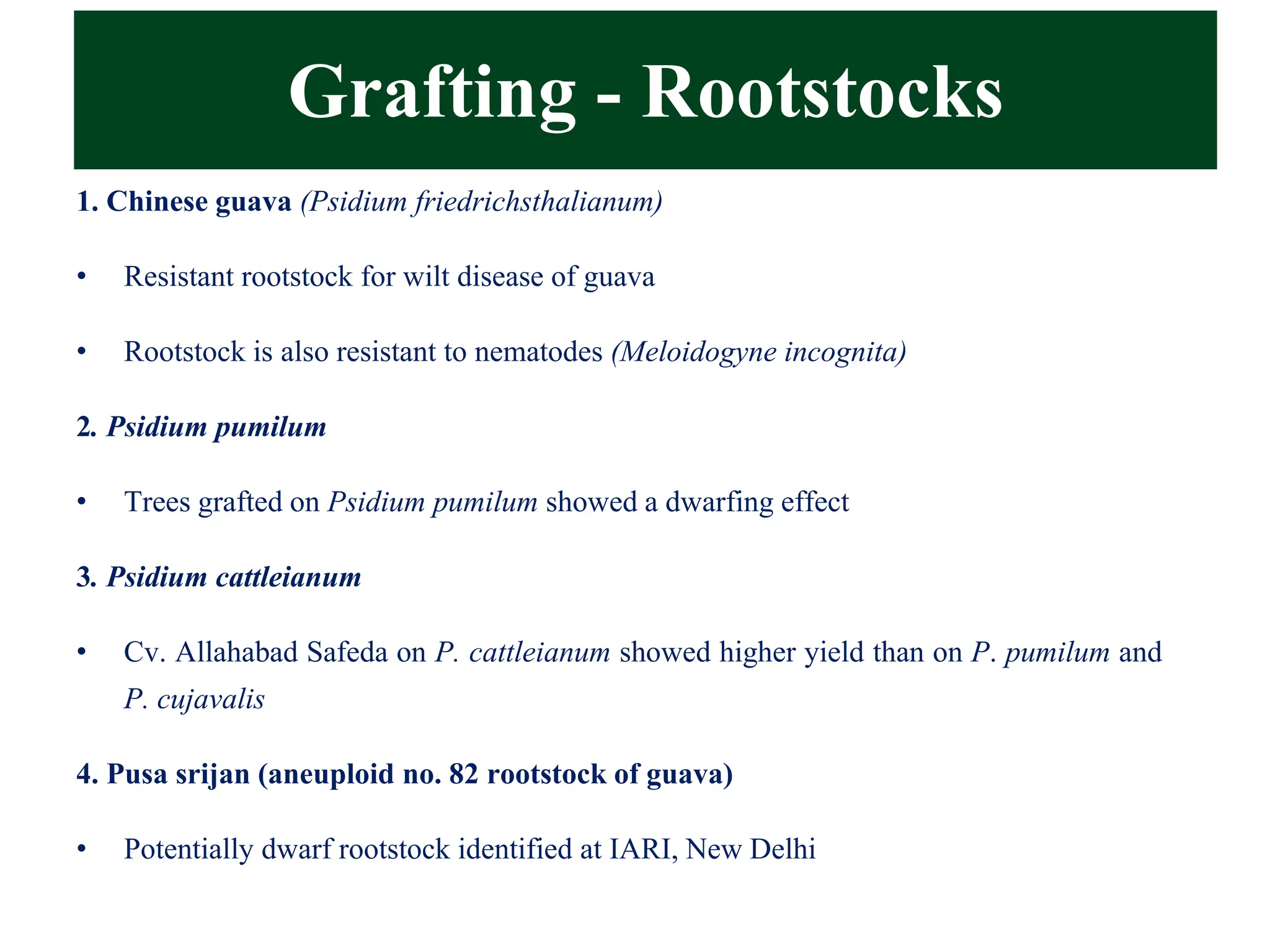 Grafting - Rootstocks
1. Chinese guava (Psidium friedrichsthalianum)
• Resistant rootstock for wilt disease of guava
• Rootstock is also resistant to nematodes (Meloidogyne incognita)
2. Psidium pumilum
• Trees grafted on Psidium pumilum showed a dwarfing effect
3. Psidium cattleianum
• Cv. Allahabad Safeda on P. cattleianum showed higher yield than on P. pumilum and
P. cujavalis
4. Pusa srijan (aneuploid no. 82 rootstock of guava)
• Potentially dwarf rootstock identified at IARI, New Delhi
 