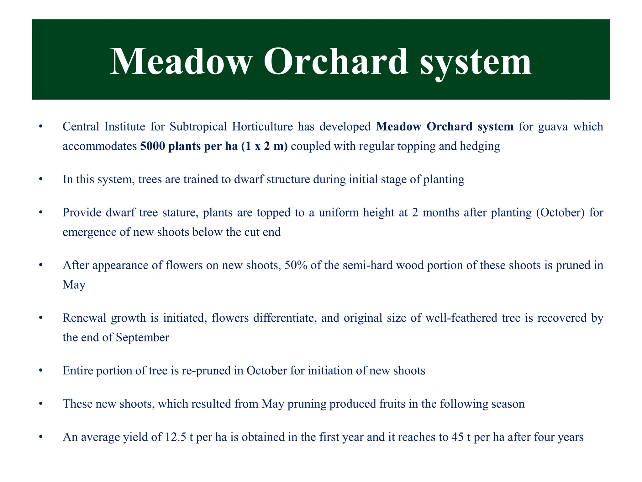 Meadow Orchard system
• Central Institute for Subtropical Horticulture has developed Meadow Orchard system for guava which
accommodates 5000 plants per ha (1 x 2 m) coupled with regular topping and hedging
• In this system, trees are trained to dwarf structure during initial stage of planting
• Provide dwarf tree stature, plants are topped to a uniform height at 2 months after planting (October) for
emergence of new shoots below the cut end
• After appearance of flowers on new shoots, 50% of the semi-hard wood portion of these shoots is pruned in
May
• Renewal growth is initiated, flowers differentiate, and original size of well-feathered tree is recovered by
the end of September
• Entire portion of tree is re-pruned in October for initiation of new shoots
• These new shoots, which resulted from May pruning produced fruits in the following season
• An average yield of 12.5 t per ha is obtained in the first year and it reaches to 45 t per ha after four years
 
