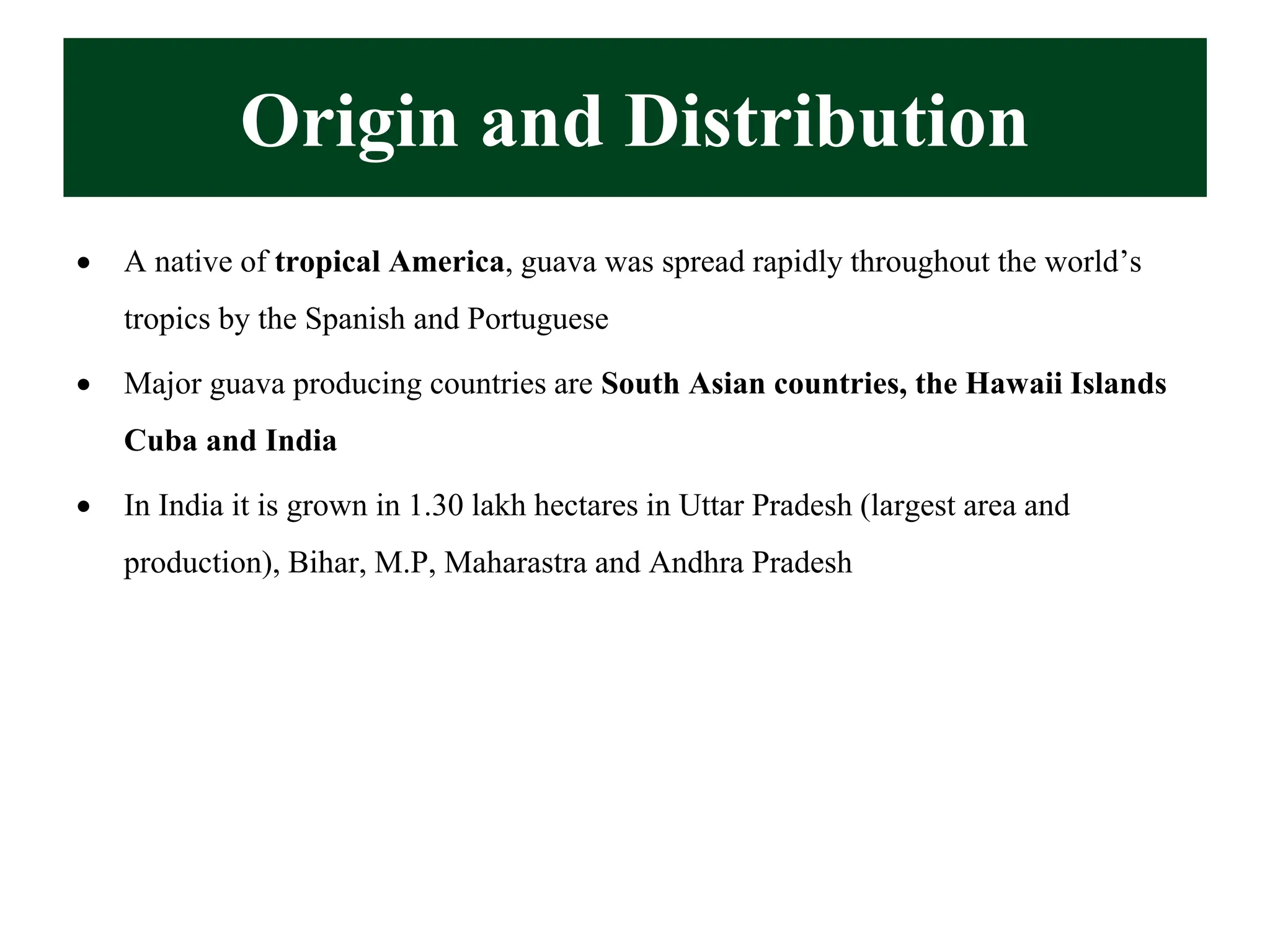 Origin and Distribution
• A native of tropical America, guava was spread rapidly throughout the world’s
tropics by the Spanish and Portuguese
• Major guava producing countries are South Asian countries, the Hawaii Islands
Cuba and India
• In India it is grown in 1.30 lakh hectares in Uttar Pradesh (largest area and
production), Bihar, M.P, Maharastra and Andhra Pradesh
 