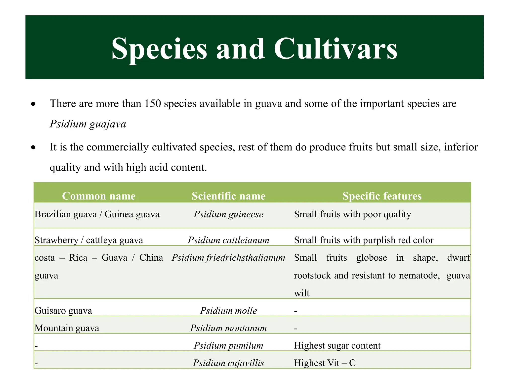 Species and Cultivars
• There are more than 150 species available in guava and some of the important species are
Psidium guajava
• It is the commercially cultivated species, rest of them do produce fruits but small size, inferior
quality and with high acid content.
Common name Scientific name Specific features
Brazilian guava / Guinea guava Psidium guineese Small fruits with poor quality
Strawberry / cattleya guava Psidium cattleianum Small fruits with purplish red color
costa – Rica – Guava / China
guava
Psidium friedrichsthalianum Small fruits globose in shape, dwarf
rootstock and resistant to nematode, guava
wilt
Guisaro guava Psidium molle -
Mountain guava Psidium montanum -
- Psidium pumilum Highest sugar content
- Psidium cujavillis Highest Vit – C
 