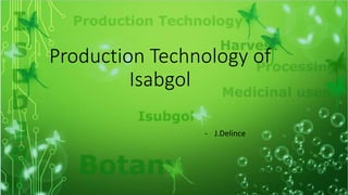 Production Technology of
Isabgol
- J.Delince
 