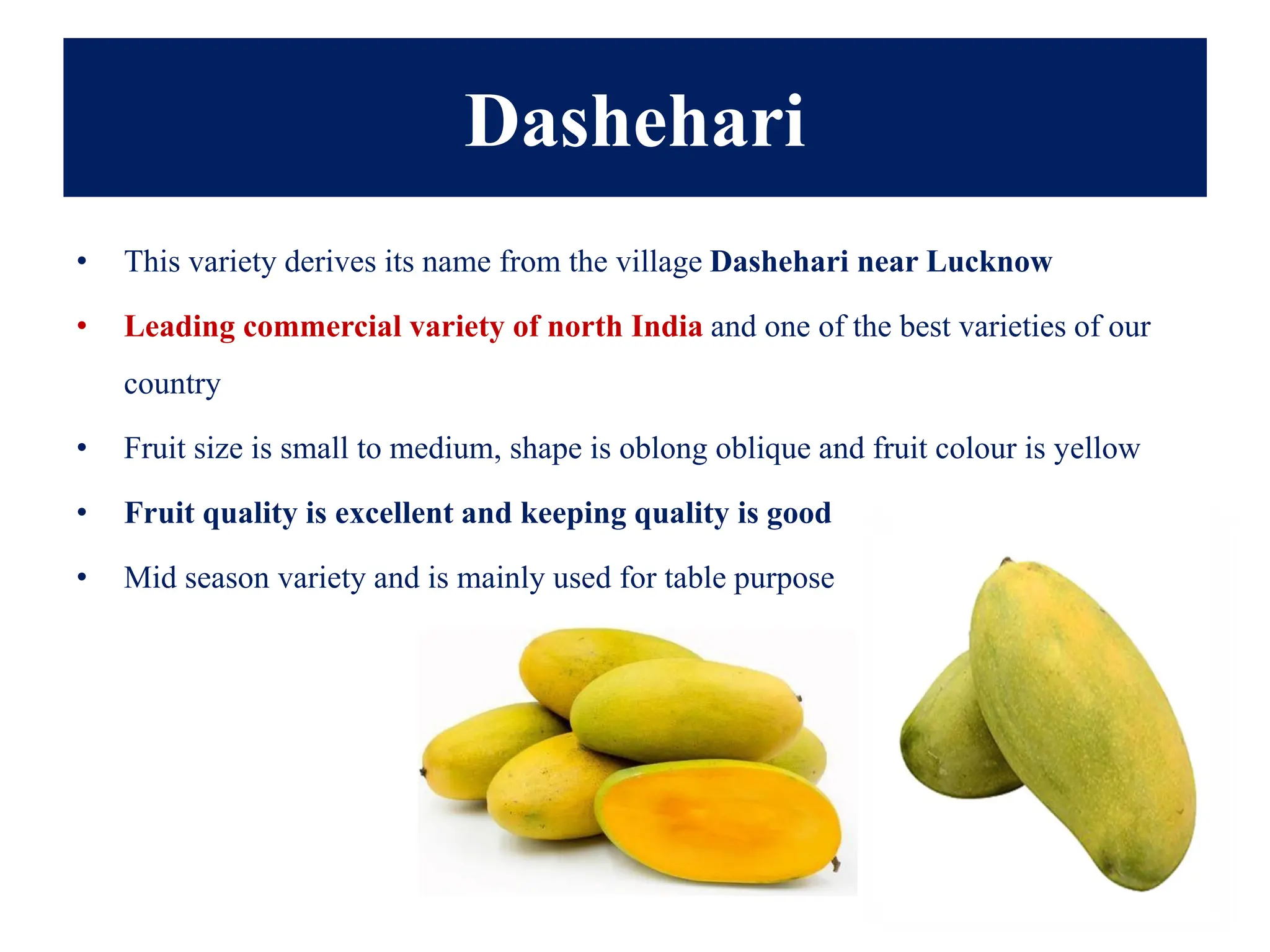Dashehari
• This variety derives its name from the village Dashehari near Lucknow
• Leading commercial variety of north India and one of the best varieties of our
country
• Fruit size is small to medium, shape is oblong oblique and fruit colour is yellow
• Fruit quality is excellent and keeping quality is good
• Mid season variety and is mainly used for table purpose
 