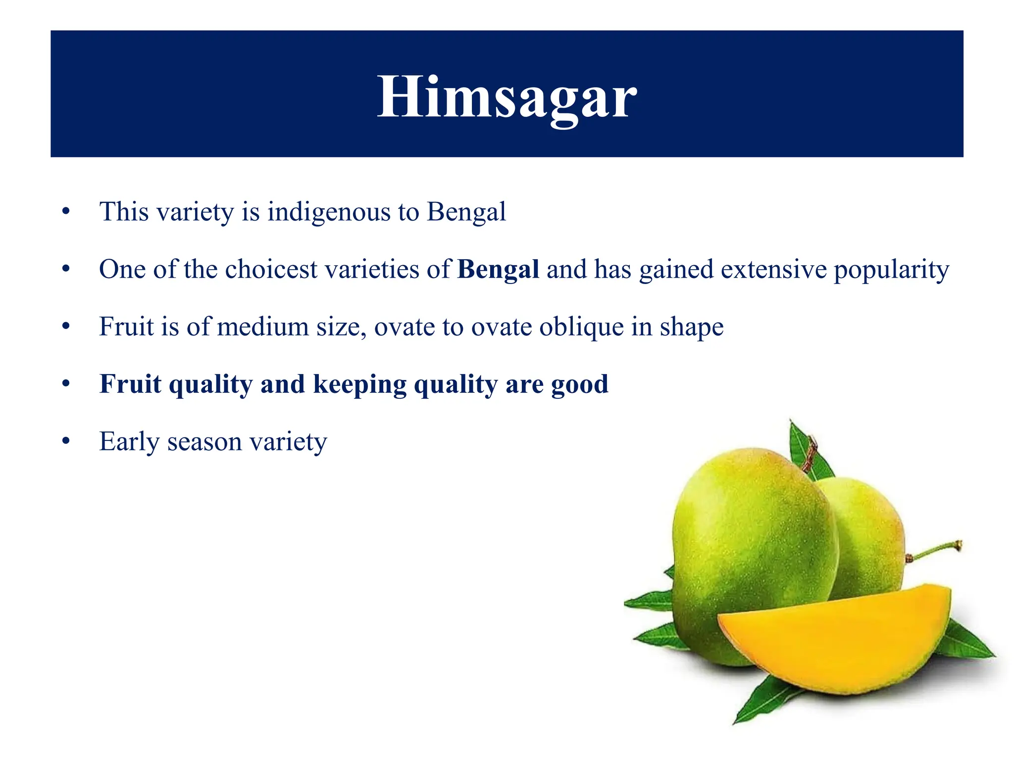 Himsagar
• This variety is indigenous to Bengal
• One of the choicest varieties of Bengal and has gained extensive popularity
• Fruit is of medium size, ovate to ovate oblique in shape
• Fruit quality and keeping quality are good
• Early season variety
 