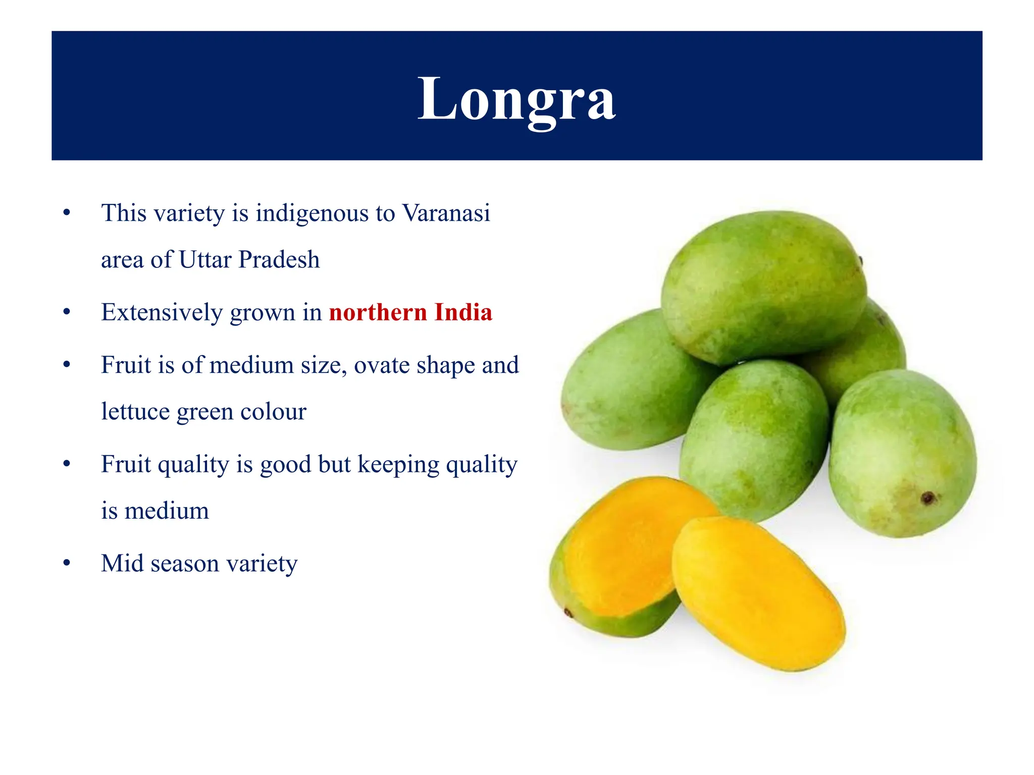 Longra
• This variety is indigenous to Varanasi
area of Uttar Pradesh
• Extensively grown in northern India
• Fruit is of medium size, ovate shape and
lettuce green colour
• Fruit quality is good but keeping quality
is medium
• Mid season variety
 