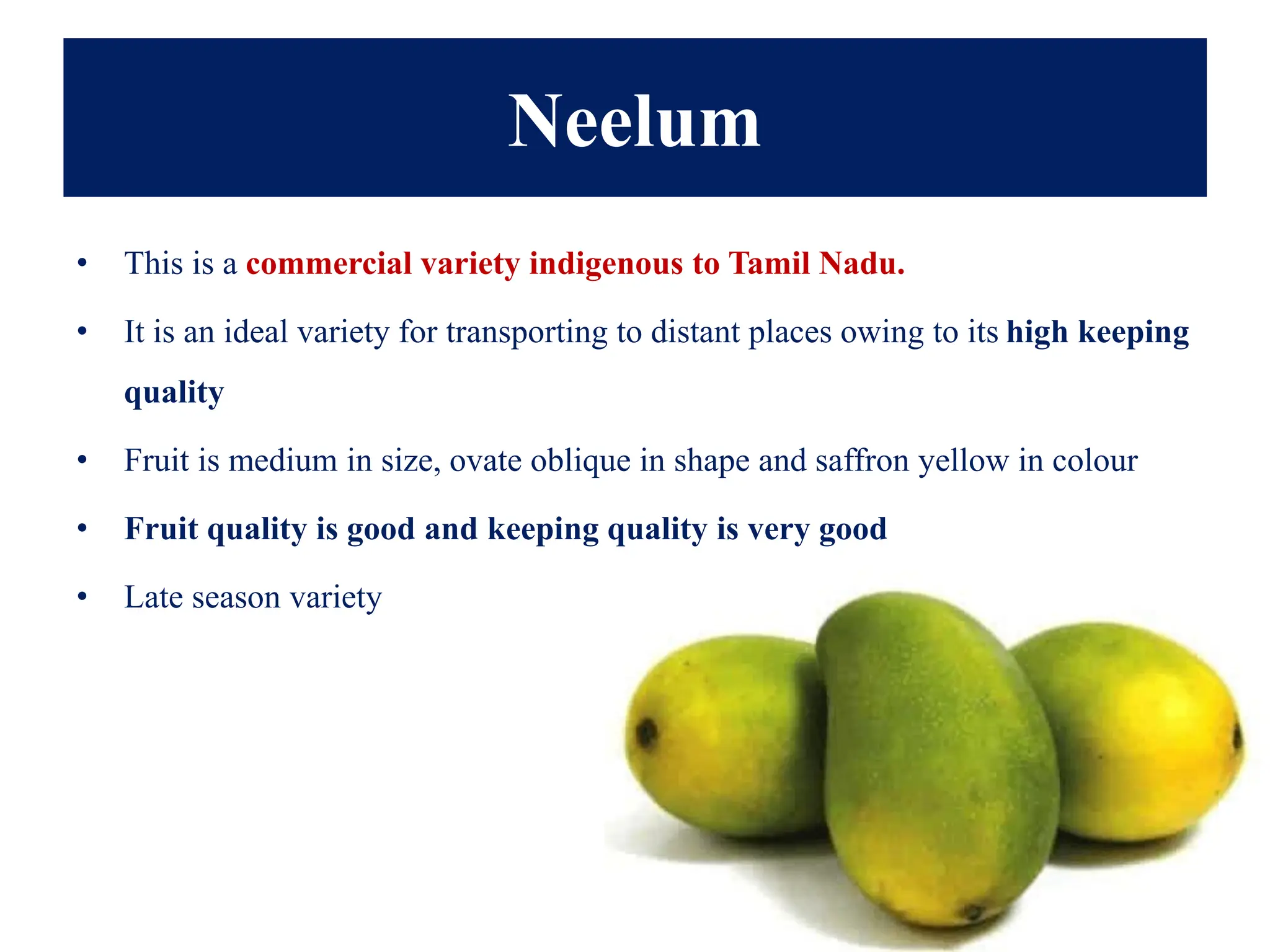 Neelum
• This is a commercial variety indigenous to Tamil Nadu.
• It is an ideal variety for transporting to distant places owing to its high keeping
quality
• Fruit is medium in size, ovate oblique in shape and saffron yellow in colour
• Fruit quality is good and keeping quality is very good
• Late season variety
 