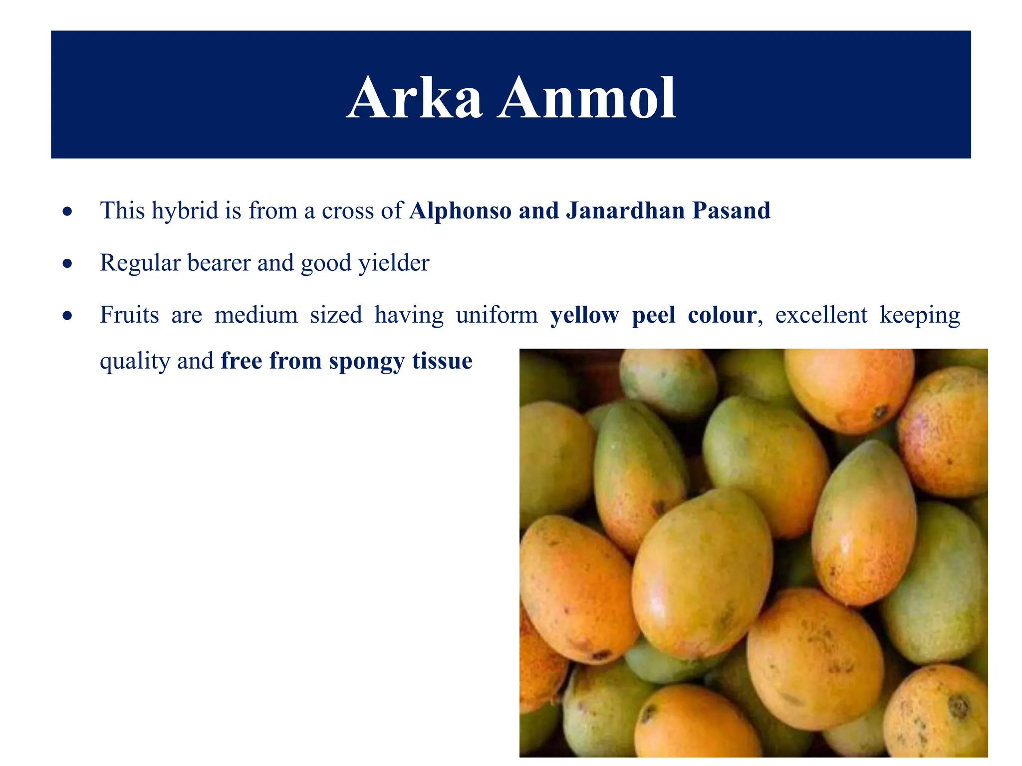 Arka Anmol
• This hybrid is from a cross of Alphonso and Janardhan Pasand
• Regular bearer and good yielder
• Fruits are medium sized having uniform yellow peel colour, excellent keeping
quality and free from spongy tissue
 