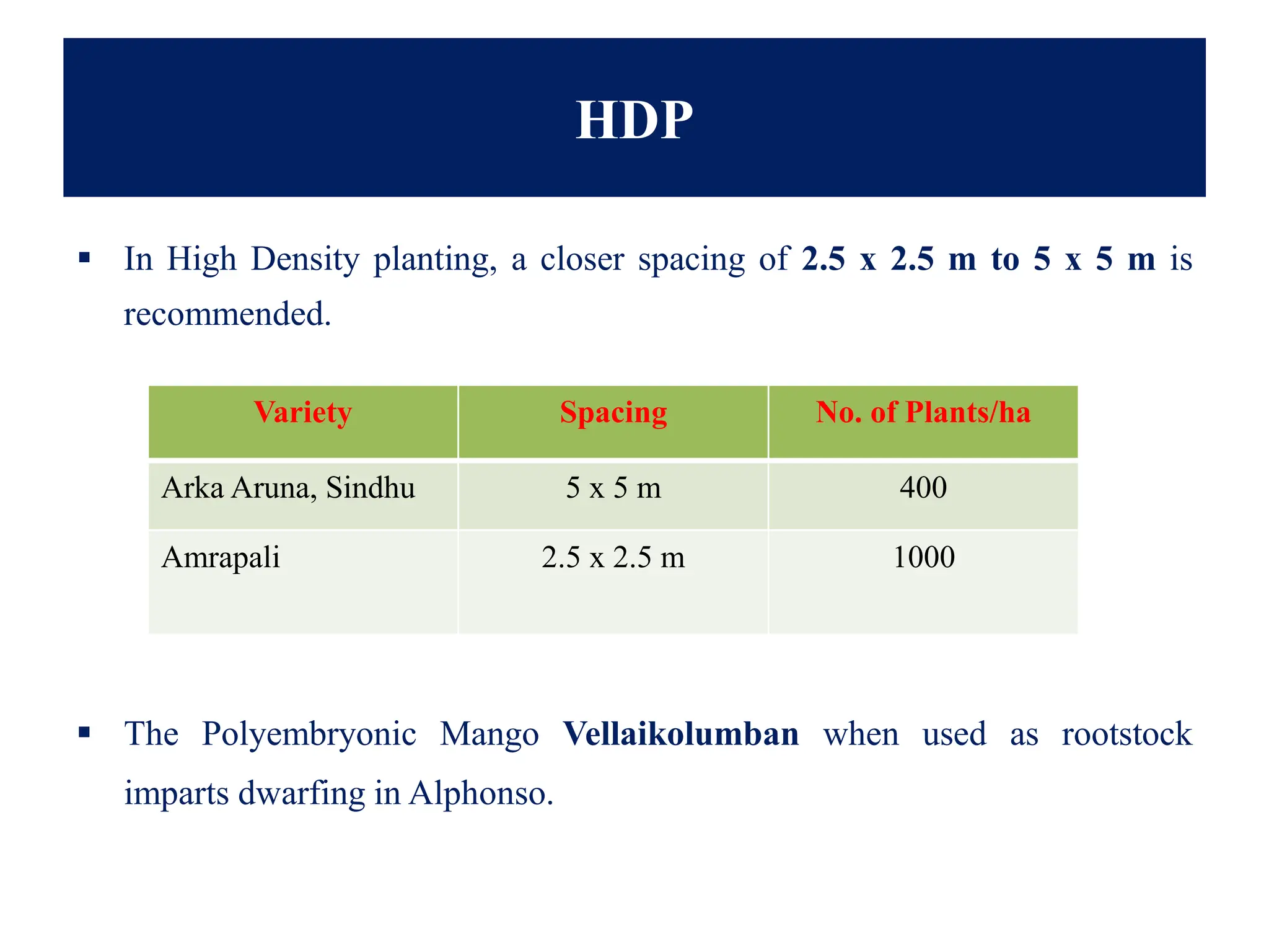 HDP
▪ In High Density planting, a closer spacing of 2.5 x 2.5 m to 5 x 5 m is
recommended.
▪ The Polyembryonic Mango Vellaikolumban when used as rootstock
imparts dwarfing in Alphonso.
Variety Spacing No. of Plants/ha
Arka Aruna, Sindhu 5 x 5 m 400
Amrapali 2.5 x 2.5 m 1000
 