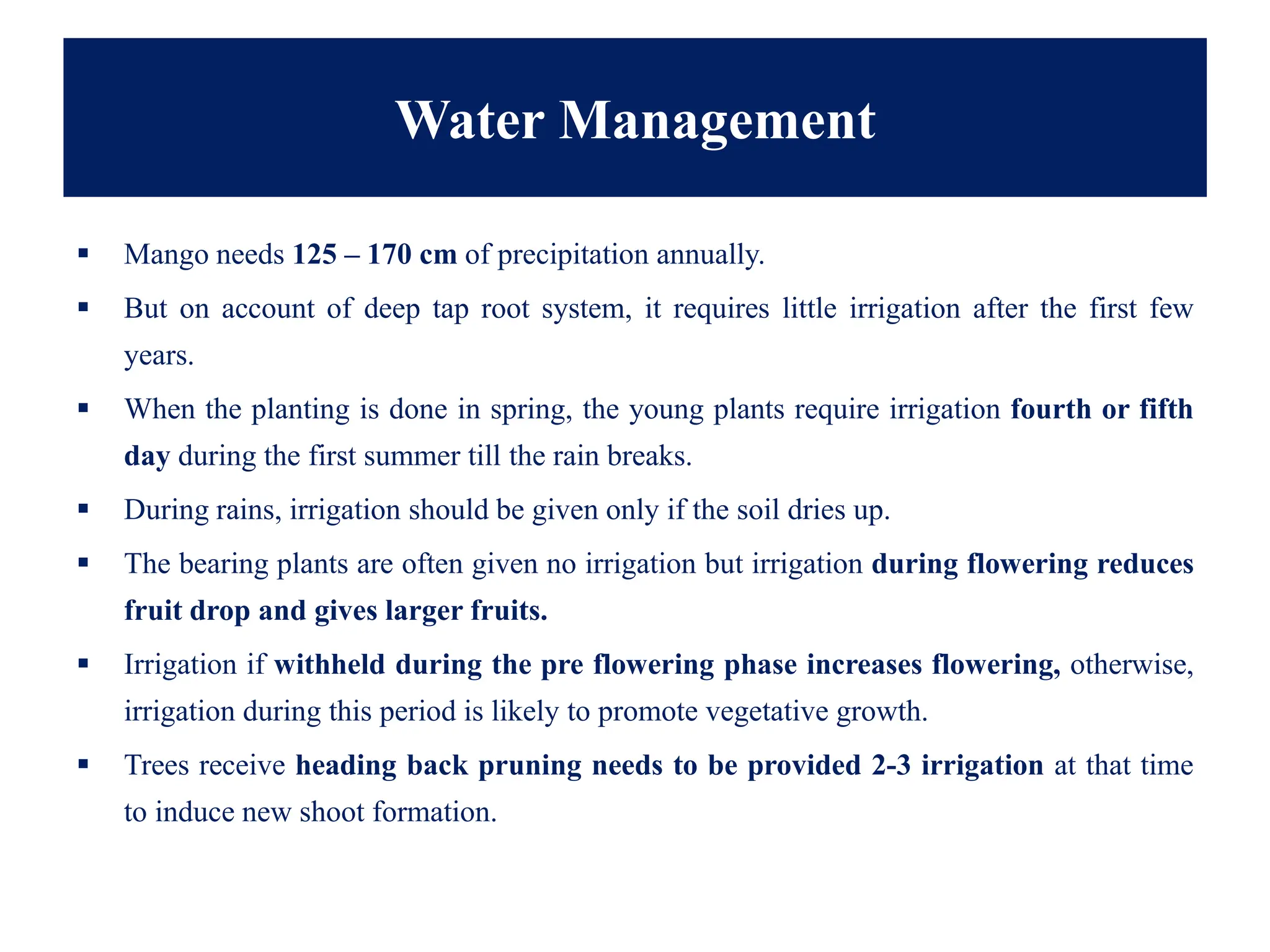 Water Management
▪ Mango needs 125 – 170 cm of precipitation annually.
▪ But on account of deep tap root system, it requires little irrigation after the first few
years.
▪ When the planting is done in spring, the young plants require irrigation fourth or fifth
day during the first summer till the rain breaks.
▪ During rains, irrigation should be given only if the soil dries up.
▪ The bearing plants are often given no irrigation but irrigation during flowering reduces
fruit drop and gives larger fruits.
▪ Irrigation if withheld during the pre flowering phase increases flowering, otherwise,
irrigation during this period is likely to promote vegetative growth.
▪ Trees receive heading back pruning needs to be provided 2-3 irrigation at that time
to induce new shoot formation.
 