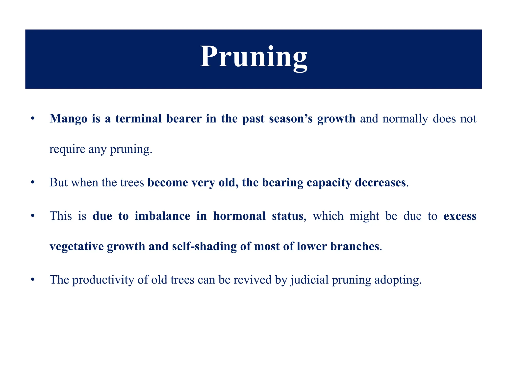 Pruning
• Mango is a terminal bearer in the past season’s growth and normally does not
require any pruning.
• But when the trees become very old, the bearing capacity decreases.
• This is due to imbalance in hormonal status, which might be due to excess
vegetative growth and self-shading of most of lower branches.
• The productivity of old trees can be revived by judicial pruning adopting.
 