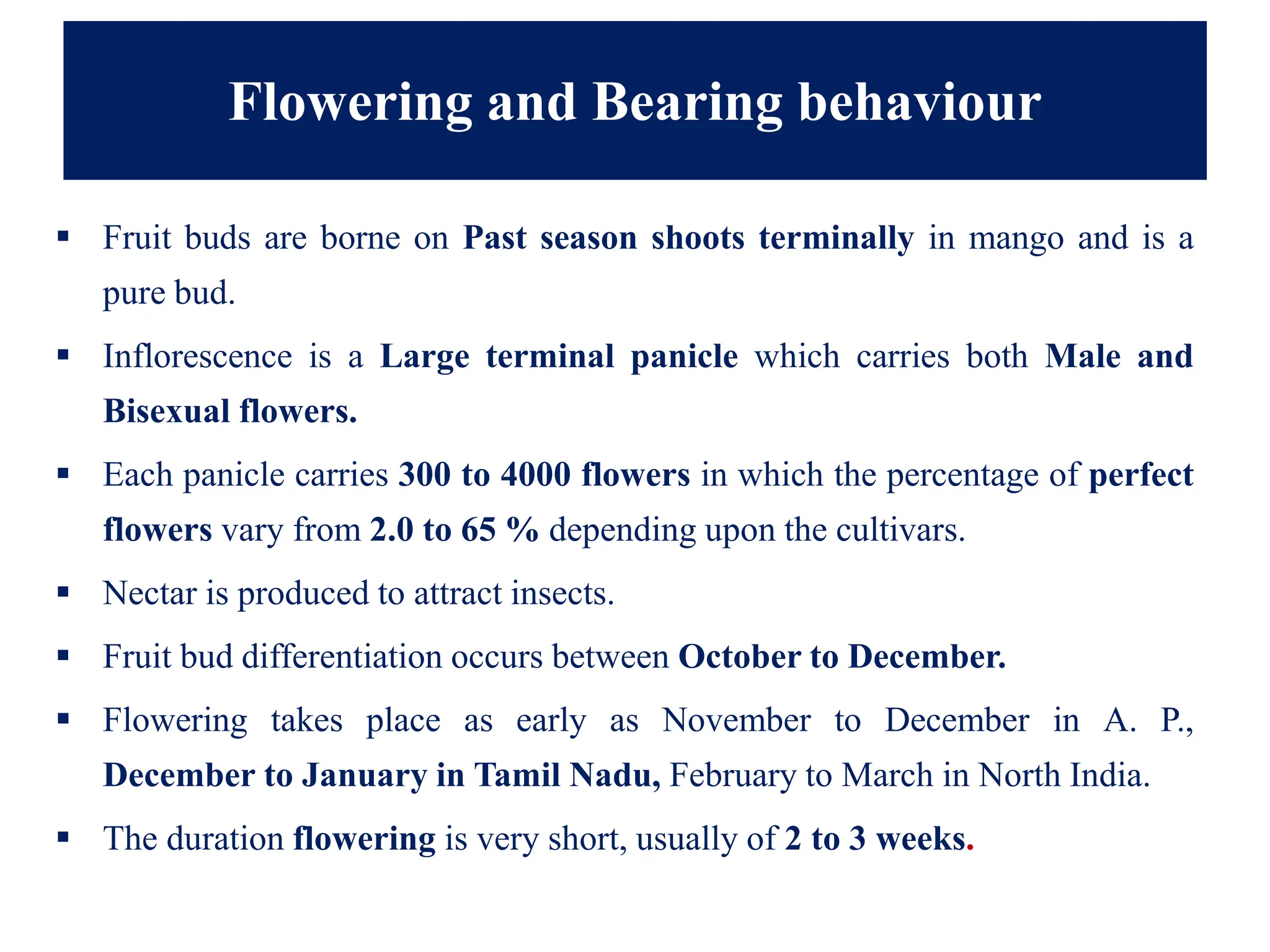 Flowering and Bearing behaviour
▪ Fruit buds are borne on Past season shoots terminally in mango and is a
pure bud.
▪ Inflorescence is a Large terminal panicle which carries both Male and
Bisexual flowers.
▪ Each panicle carries 300 to 4000 flowers in which the percentage of perfect
flowers vary from 2.0 to 65 % depending upon the cultivars.
▪ Nectar is produced to attract insects.
▪ Fruit bud differentiation occurs between October to December.
▪ Flowering takes place as early as November to December in A. P.,
December to January in Tamil Nadu, February to March in North India.
▪ The duration flowering is very short, usually of 2 to 3 weeks.
 