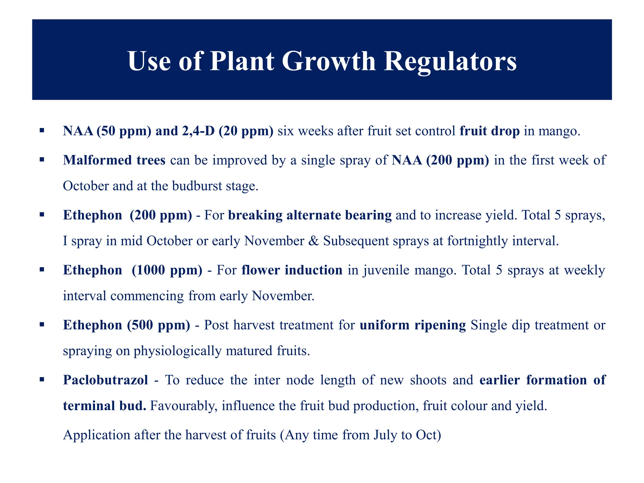 Use of Plant Growth Regulators
▪ NAA (50 ppm) and 2,4-D (20 ppm) six weeks after fruit set control fruit drop in mango.
▪ Malformed trees can be improved by a single spray of NAA (200 ppm) in the first week of
October and at the budburst stage.
▪ Ethephon (200 ppm) - For breaking alternate bearing and to increase yield. Total 5 sprays,
I spray in mid October or early November & Subsequent sprays at fortnightly interval.
▪ Ethephon (1000 ppm) - For flower induction in juvenile mango. Total 5 sprays at weekly
interval commencing from early November.
▪ Ethephon (500 ppm) - Post harvest treatment for uniform ripening Single dip treatment or
spraying on physiologically matured fruits.
▪ Paclobutrazol - To reduce the inter node length of new shoots and earlier formation of
terminal bud. Favourably, influence the fruit bud production, fruit colour and yield.
Application after the harvest of fruits (Any time from July to Oct)
 