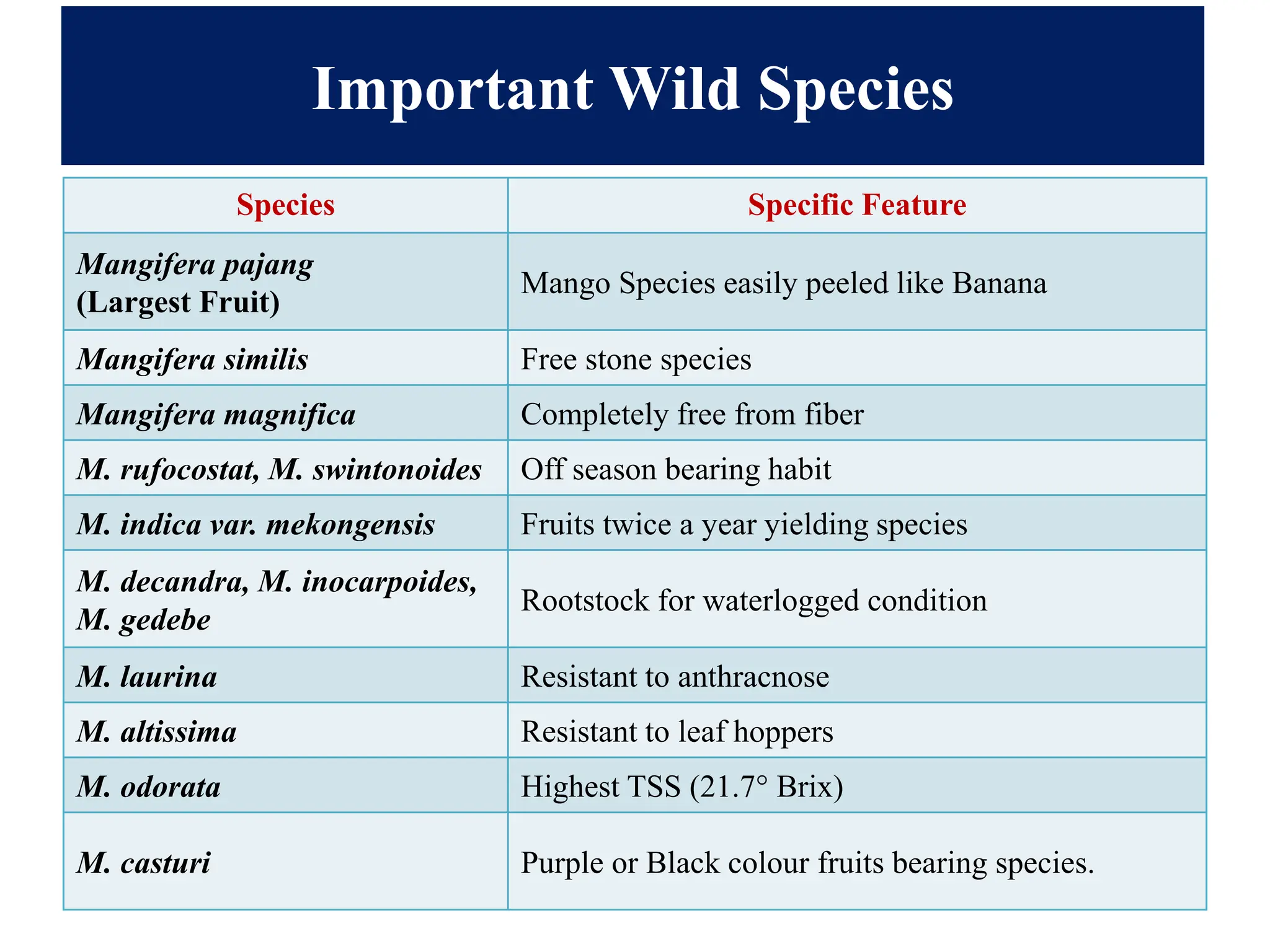 Species Specific Feature
Mangifera pajang
(Largest Fruit)
Mango Species easily peeled like Banana
Mangifera similis Free stone species
Mangifera magnifica Completely free from fiber
M. rufocostat, M. swintonoides Off season bearing habit
M. indica var. mekongensis Fruits twice a year yielding species
M. decandra, M. inocarpoides,
M. gedebe
Rootstock for waterlogged condition
M. laurina Resistant to anthracnose
M. altissima Resistant to leaf hoppers
M. odorata Highest TSS (21.7° Brix)
M. casturi Purple or Black colour fruits bearing species.
Important Wild Species
 