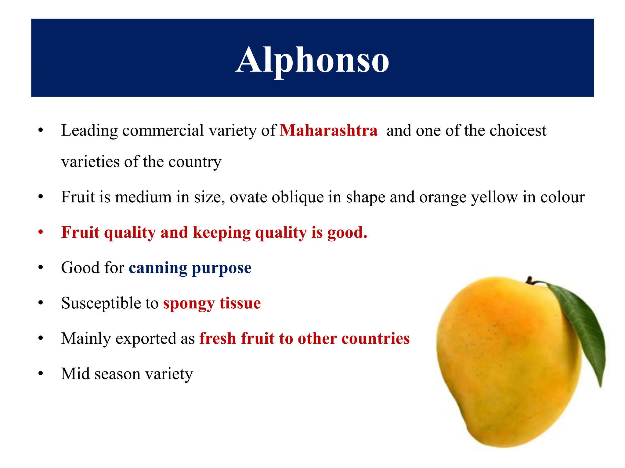 Alphonso
• Leading commercial variety of Maharashtra and one of the choicest
varieties of the country
• Fruit is medium in size, ovate oblique in shape and orange yellow in colour
• Fruit quality and keeping quality is good.
• Good for canning purpose
• Susceptible to spongy tissue
• Mainly exported as fresh fruit to other countries
• Mid season variety
 